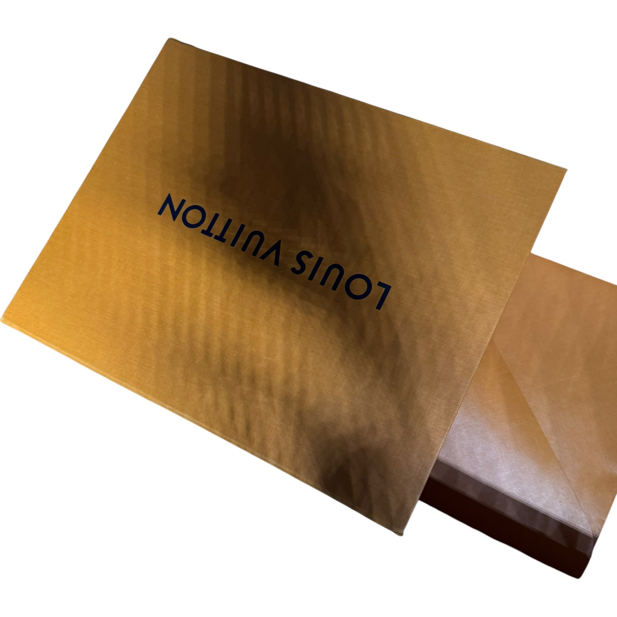 Louis Vuitton Traîner (44.5EU)