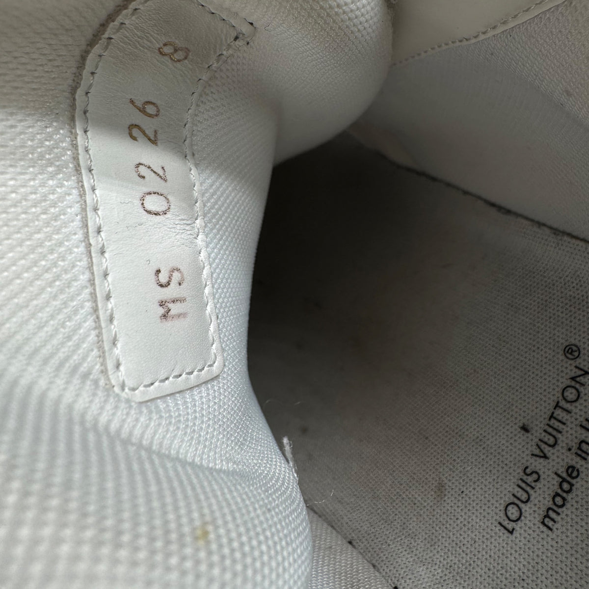 Louis Vuitton Trainer (43)