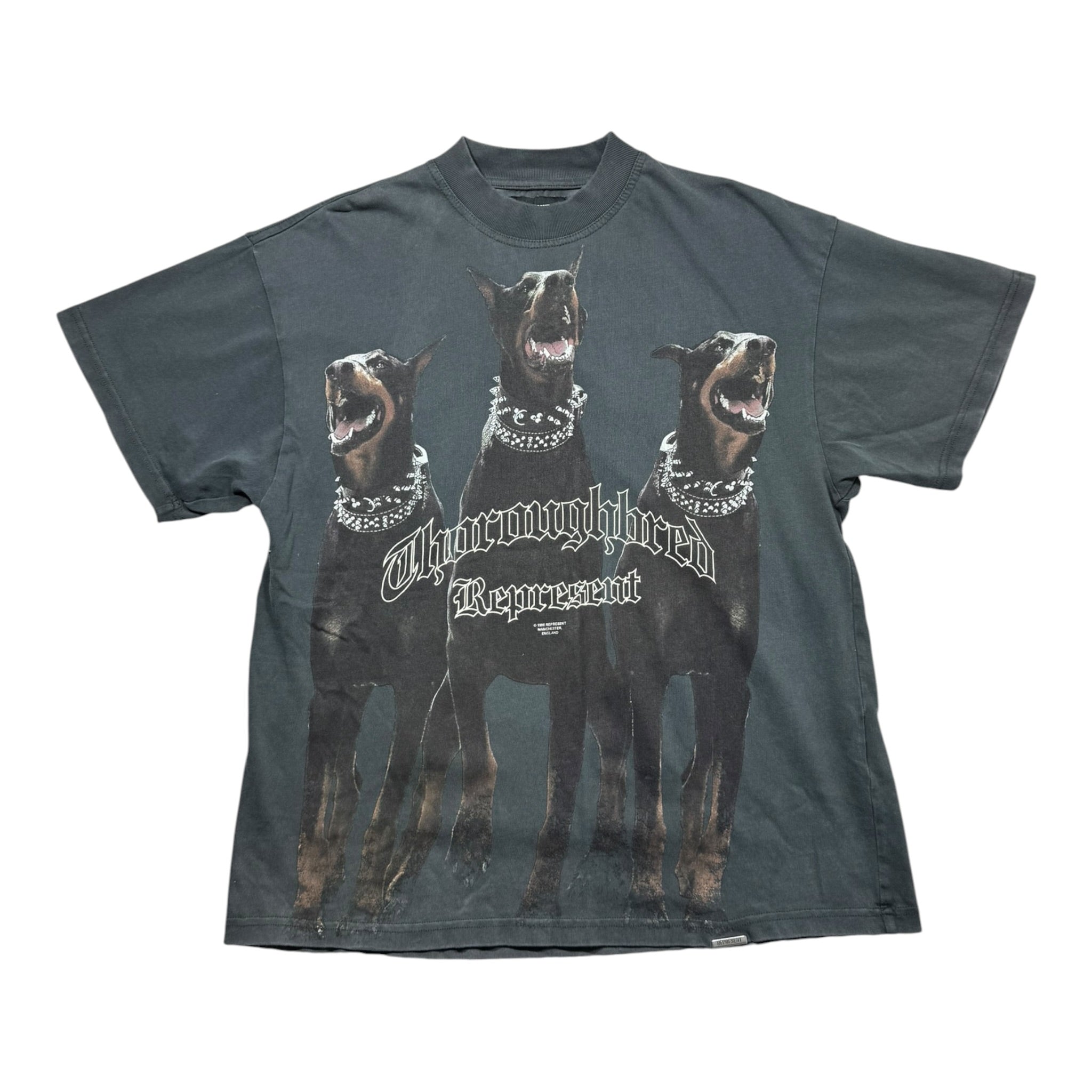 T-shirt Represent (S)
