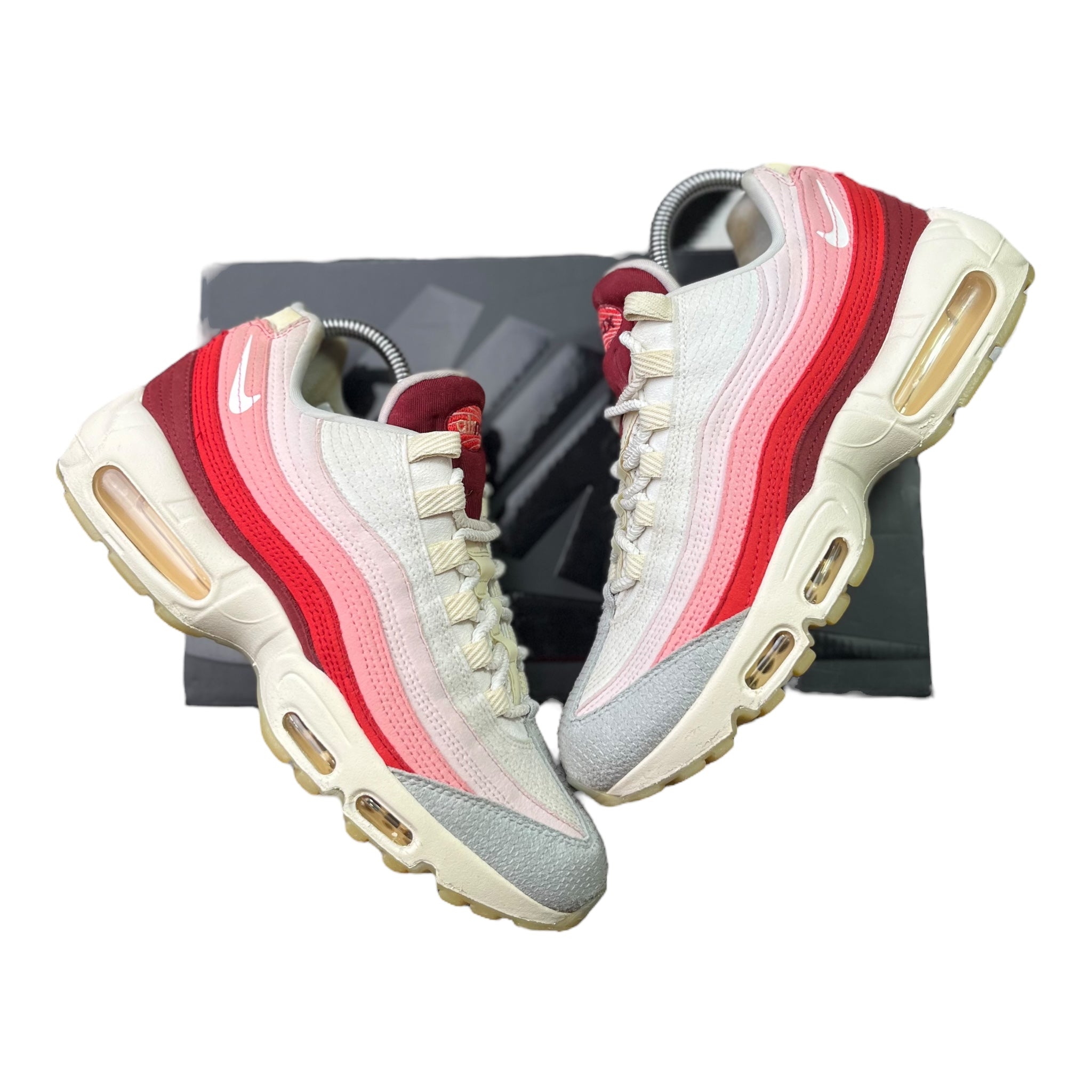 Nike Air Max 95 Anatomy Of Air (42EU)