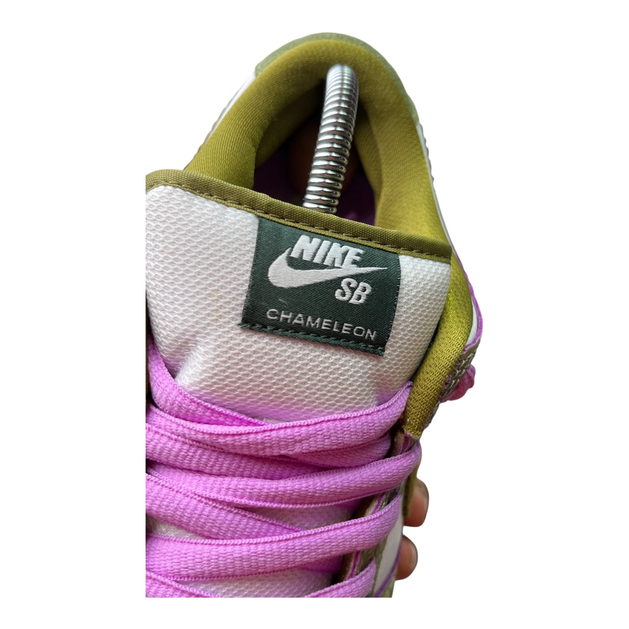 Nike Dunk Low SB Alexis Sablone Chameleon (42.5EU)