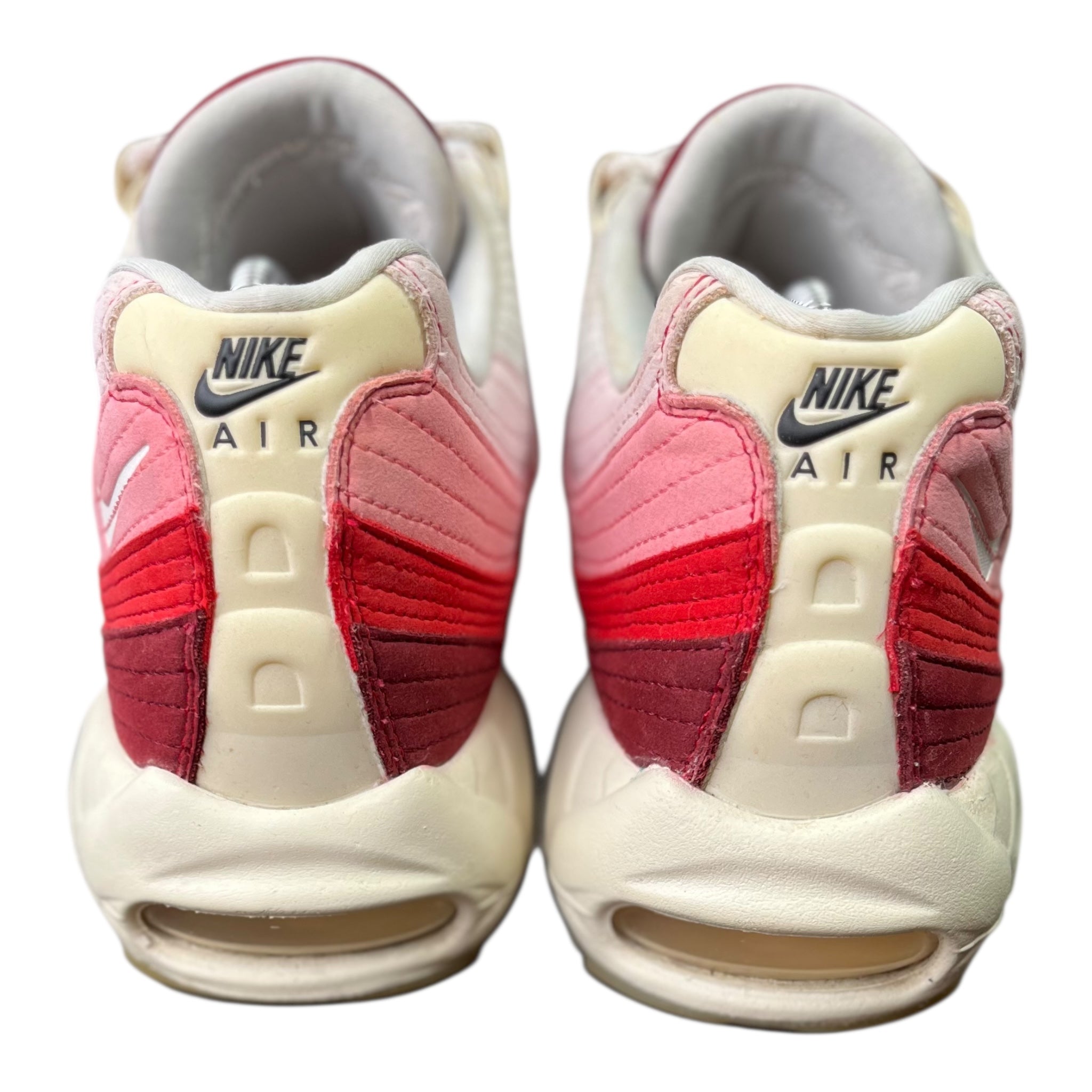 Nike Air Max 95 Anatomy Of Air (47.5EU)