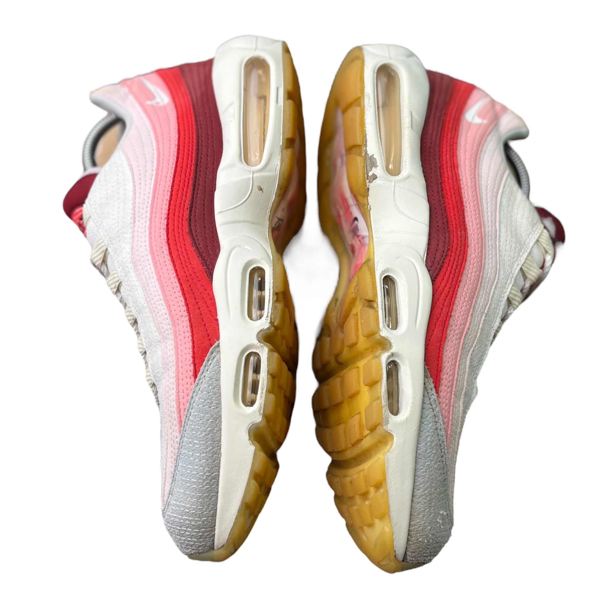 Nike Air Max 95 Anatomy Of Air (45EU)
