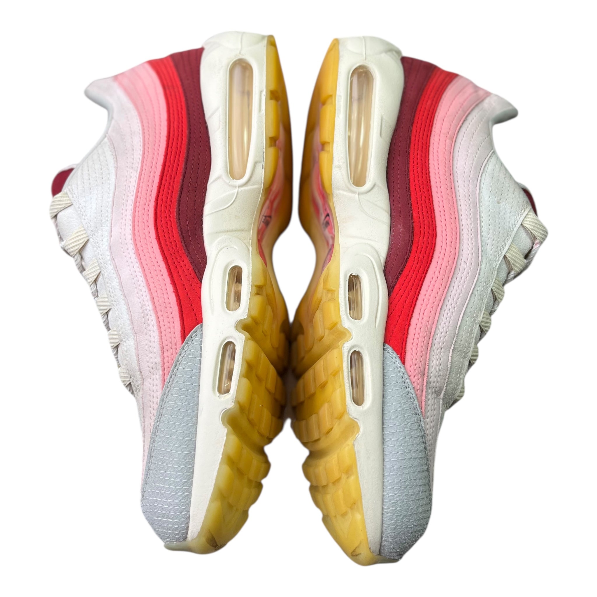 Nike Air Max 95 Anatomy Of Air (48.5EU)