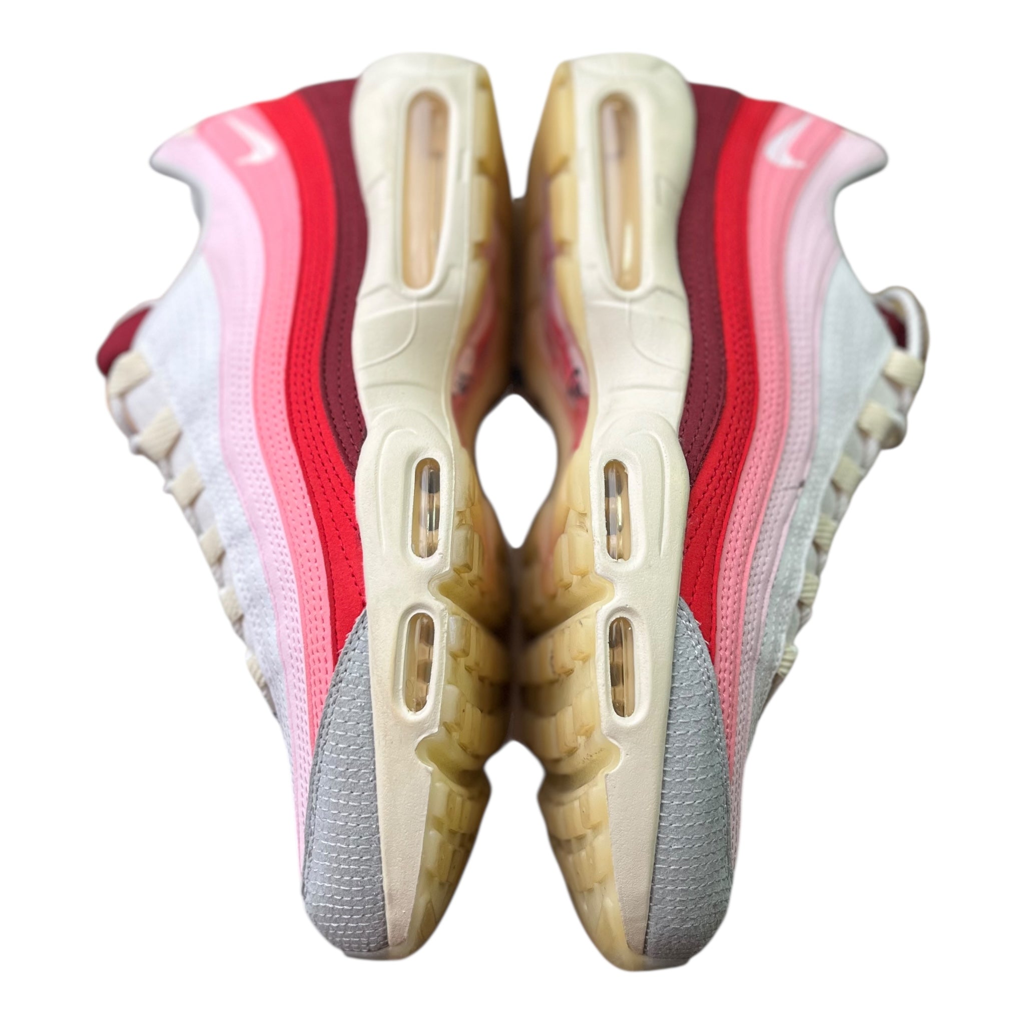 Nike Air Max 95 Anatomy Of Air (47.5EU)