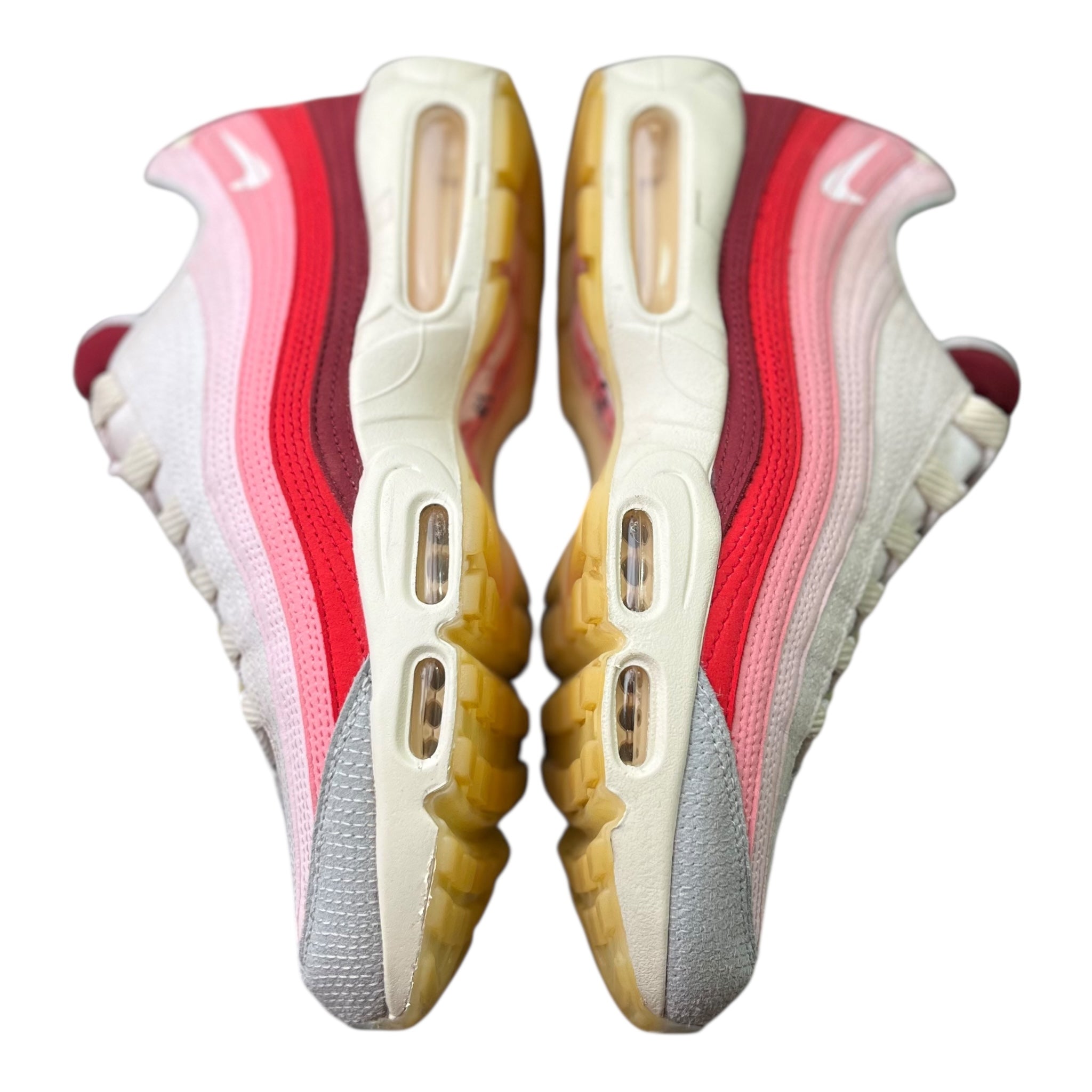 Nike Air Max 95 Anatomy Of Air (43EU)