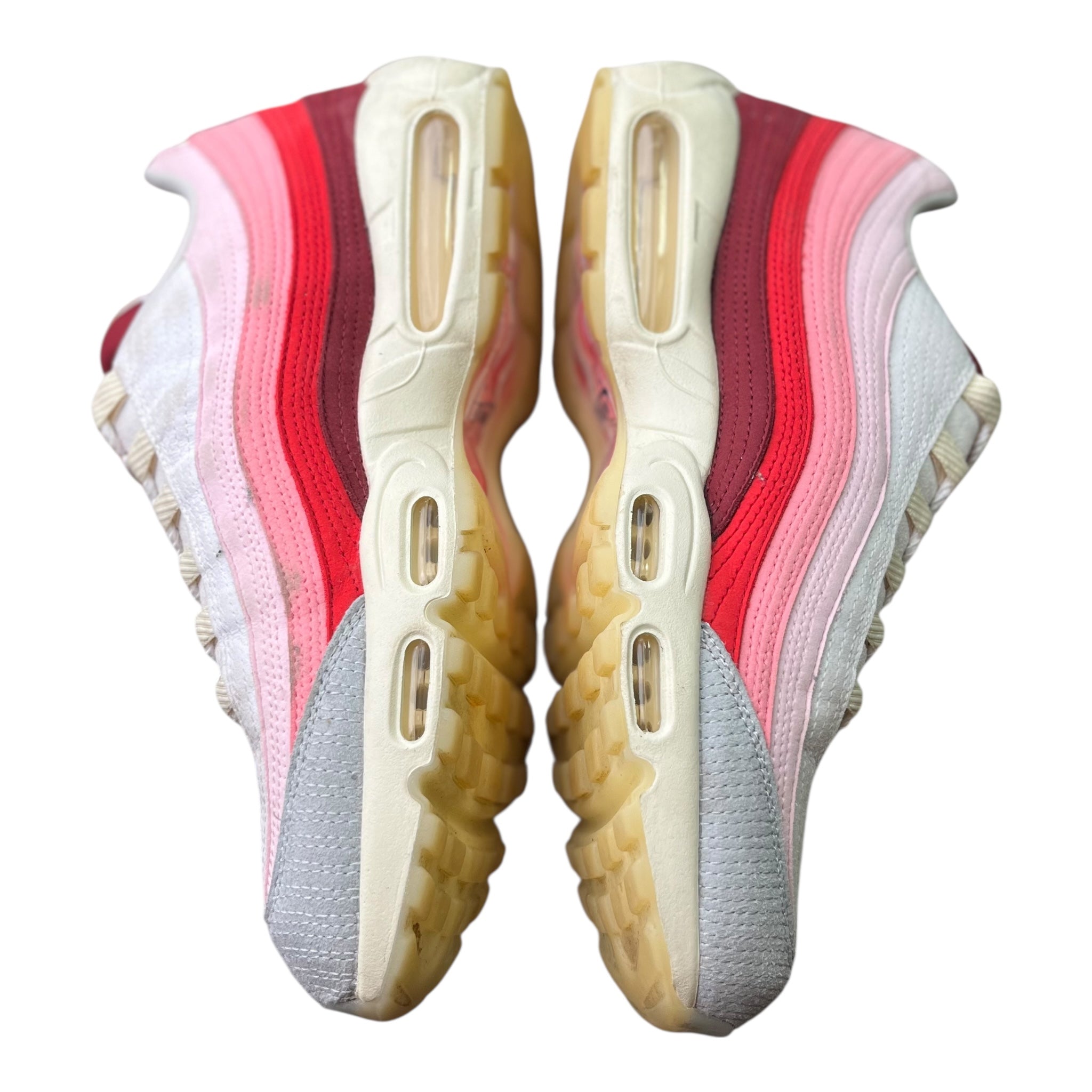 Nike Air Max 95 Anatomy Of Air (47EU)