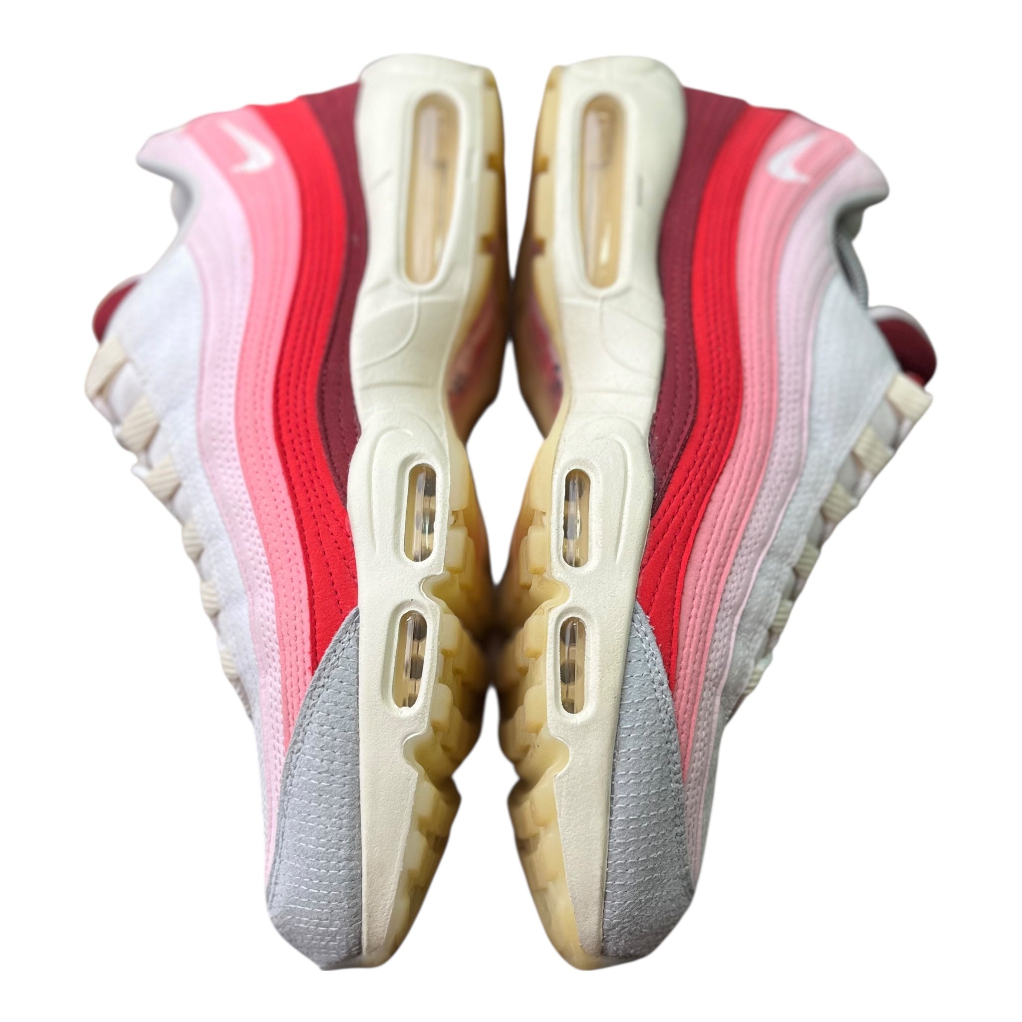 Nike Air Max 95 Anatomy Of Air (47EU)