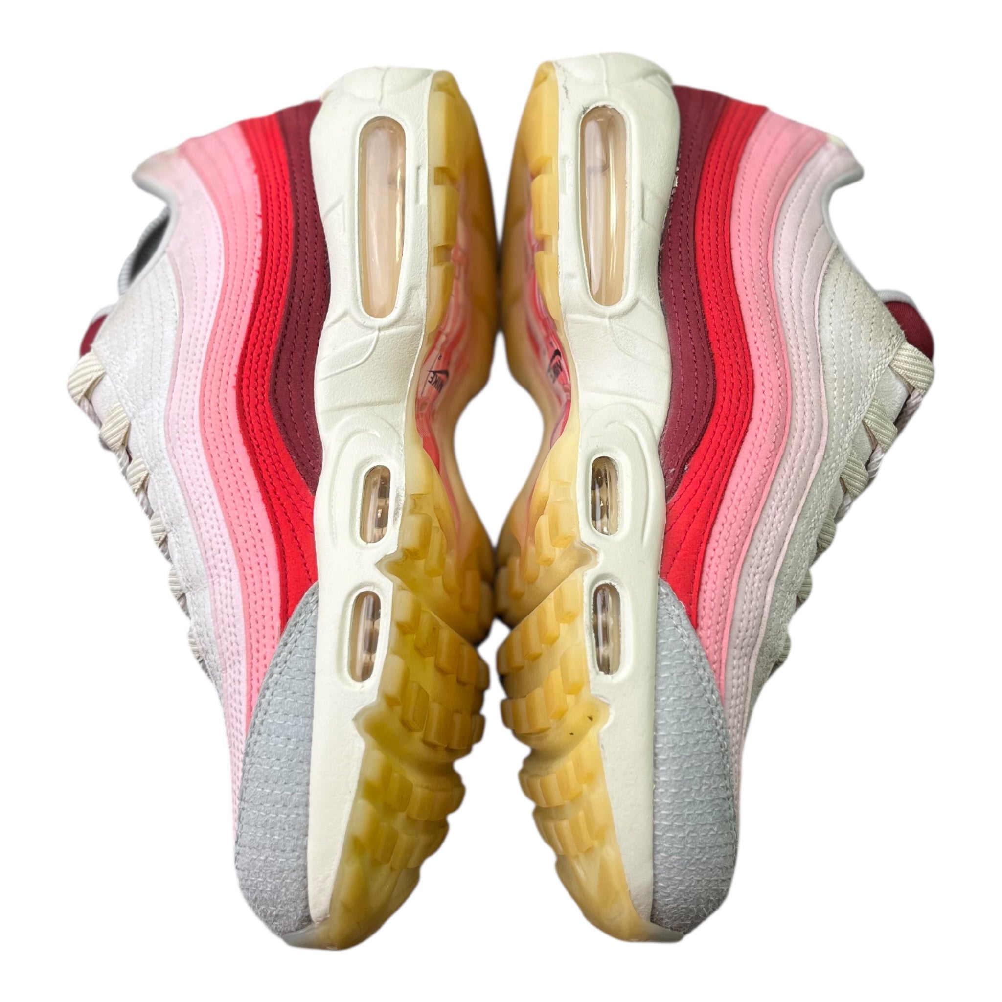 Nike Air Max 95 Anatomy Of Air (43EU)