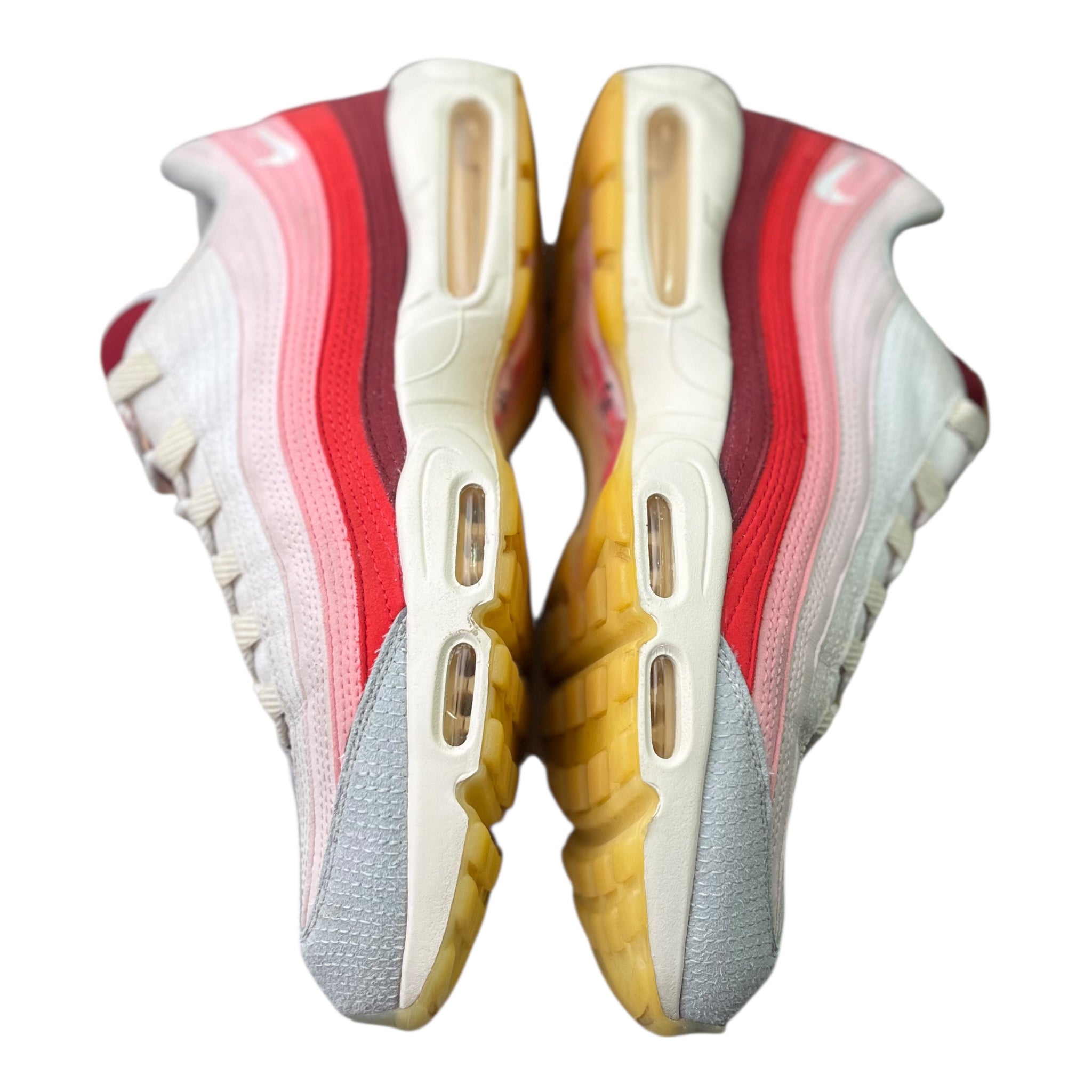 Nike Air Max 95 Anatomy Of Air (48.5EU)