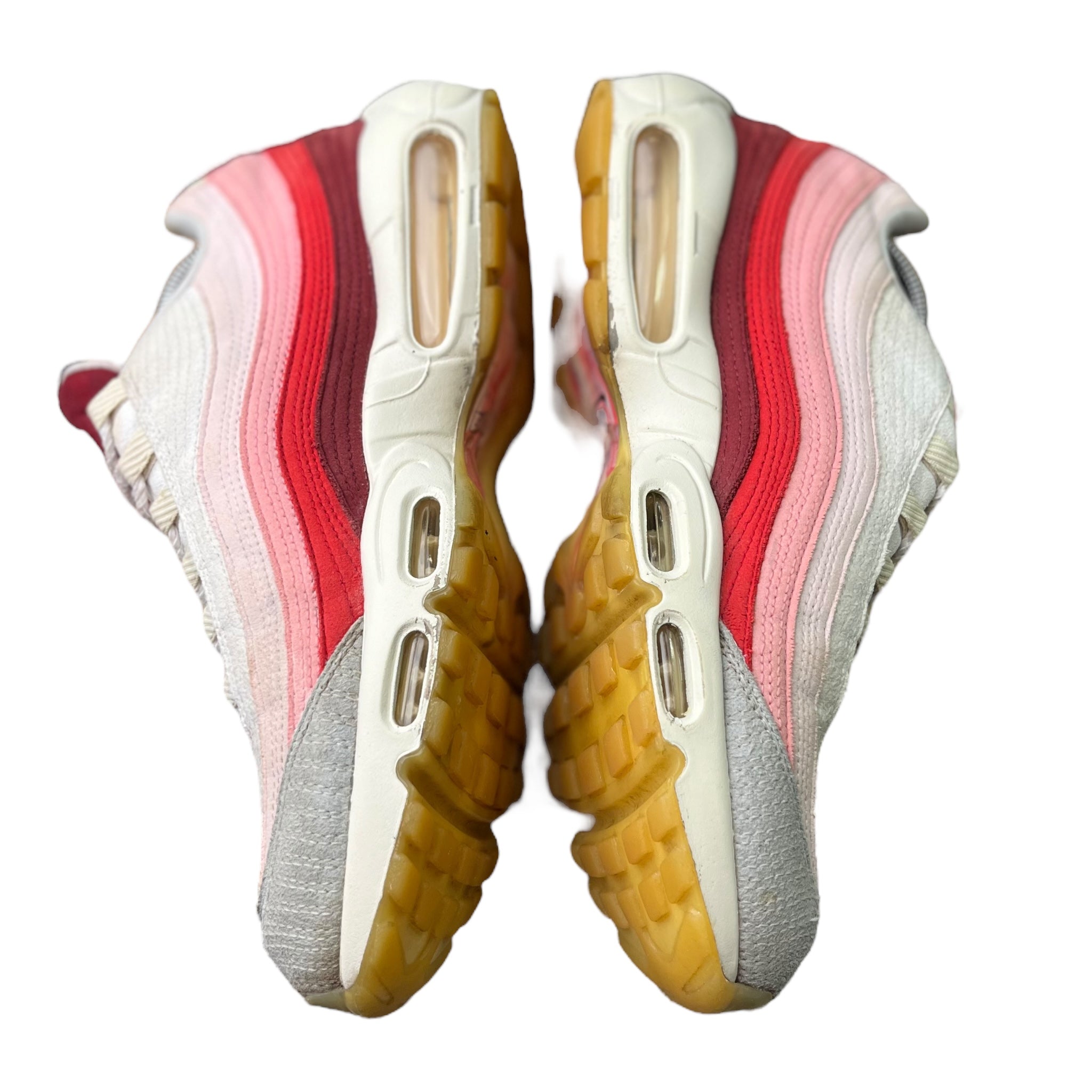 Nike Air Max 95 Anatomy Of Air (45EU)