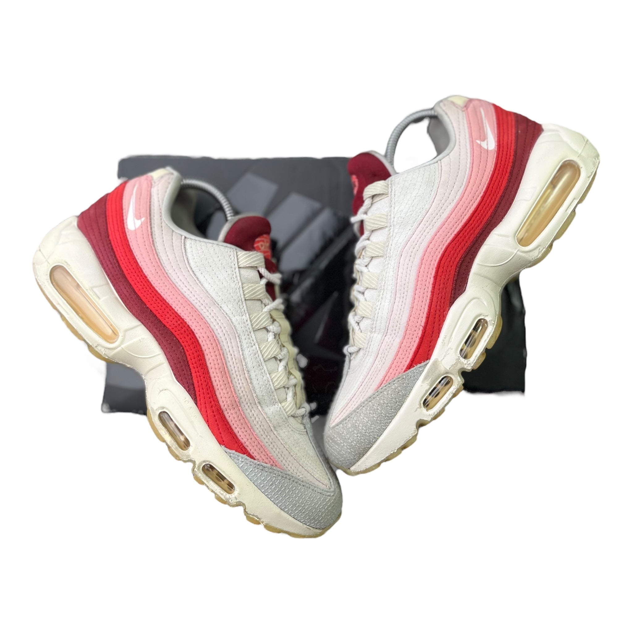 Nike Air Max 95 Anatomy Of Air (42EU)