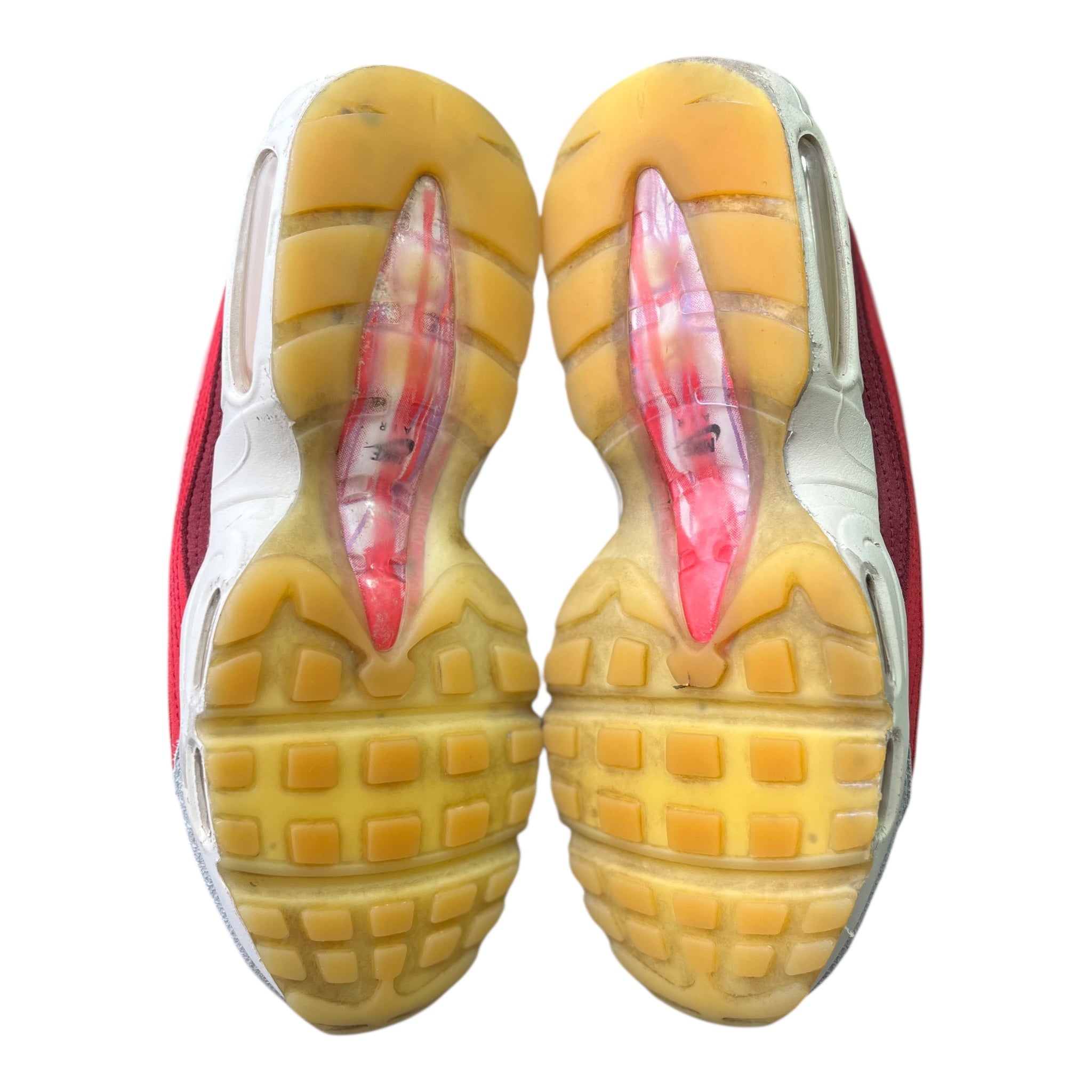 Nike Air Max 95 Anatomy Of Air (42EU)