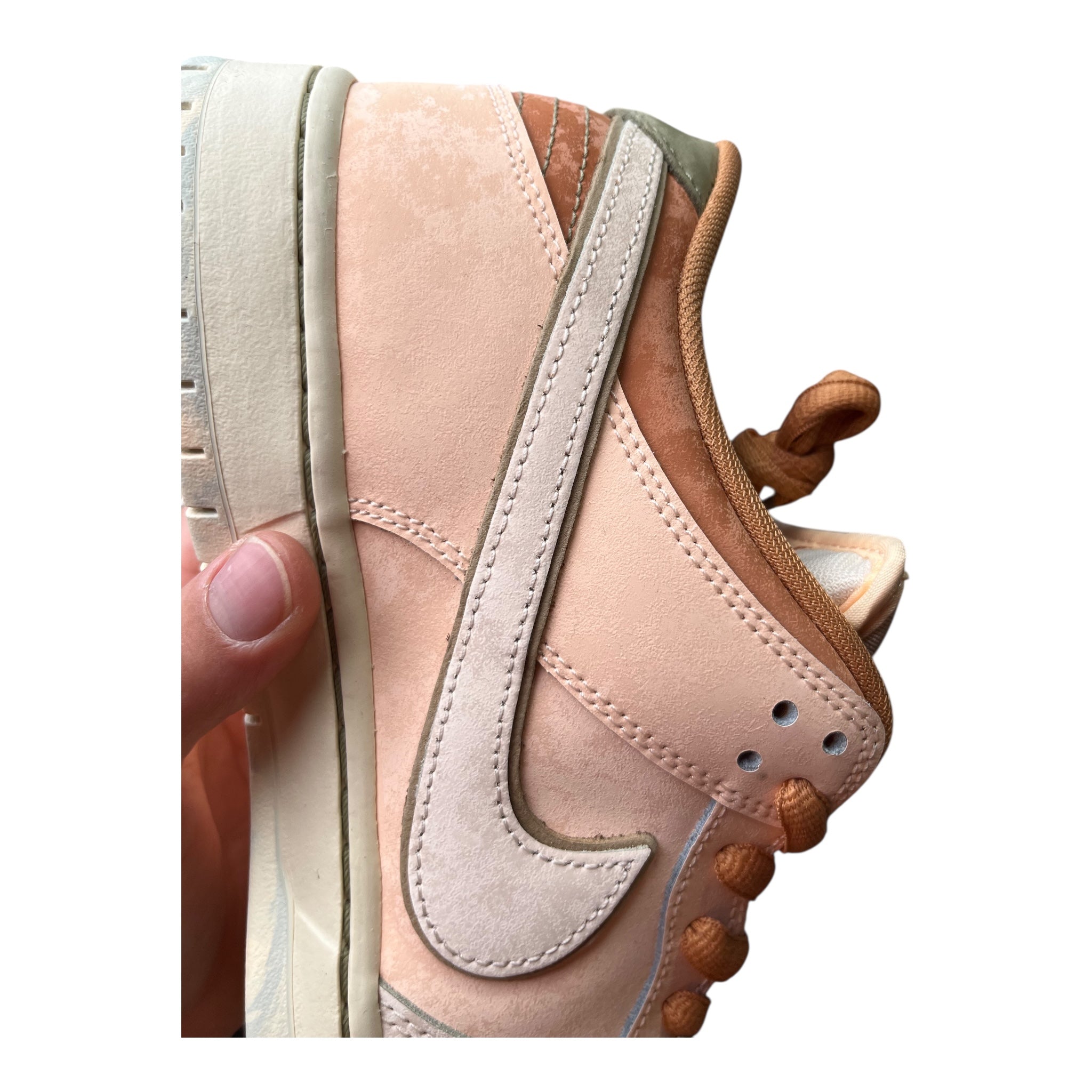 Nike Dunk Low Sb Trocadero Gardens (45EU)