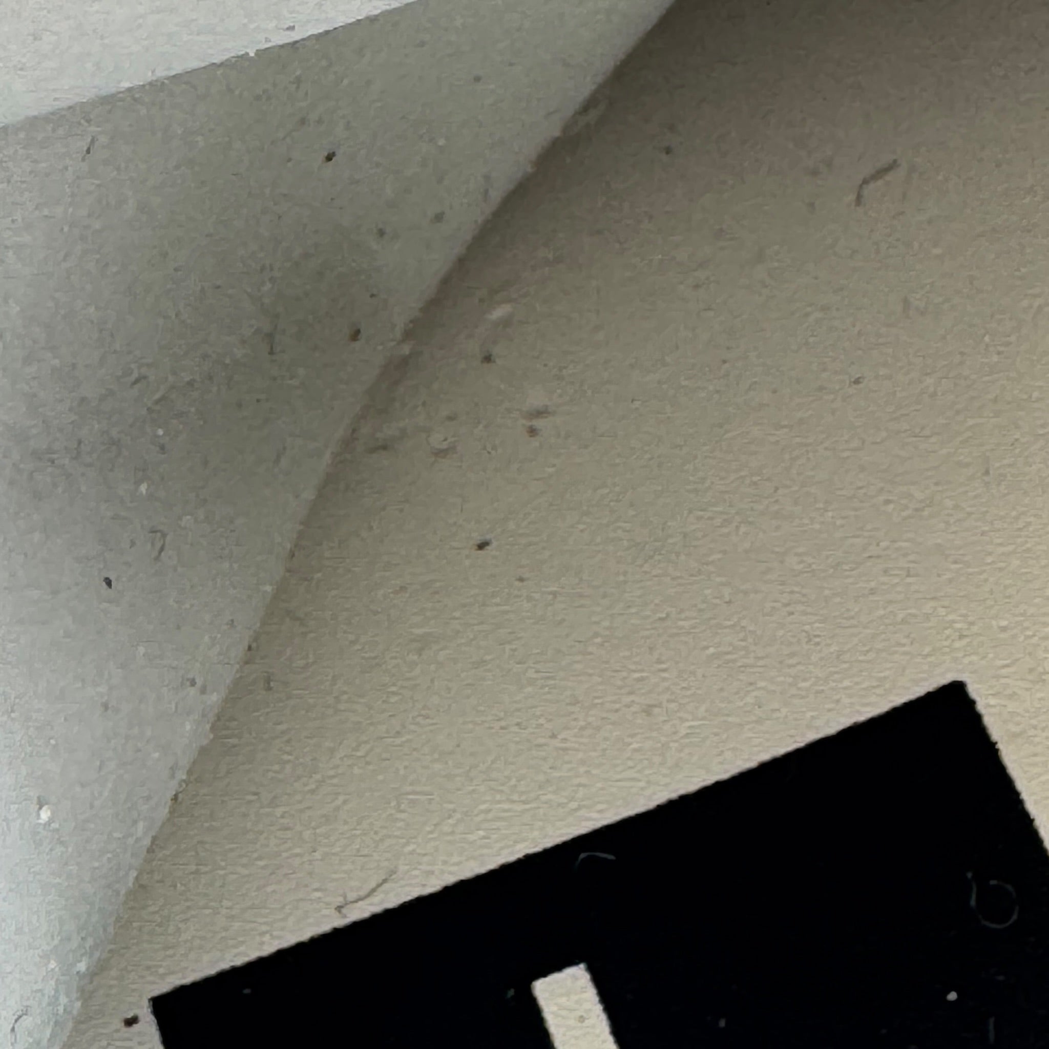 Golden Goose Old School (41EU)