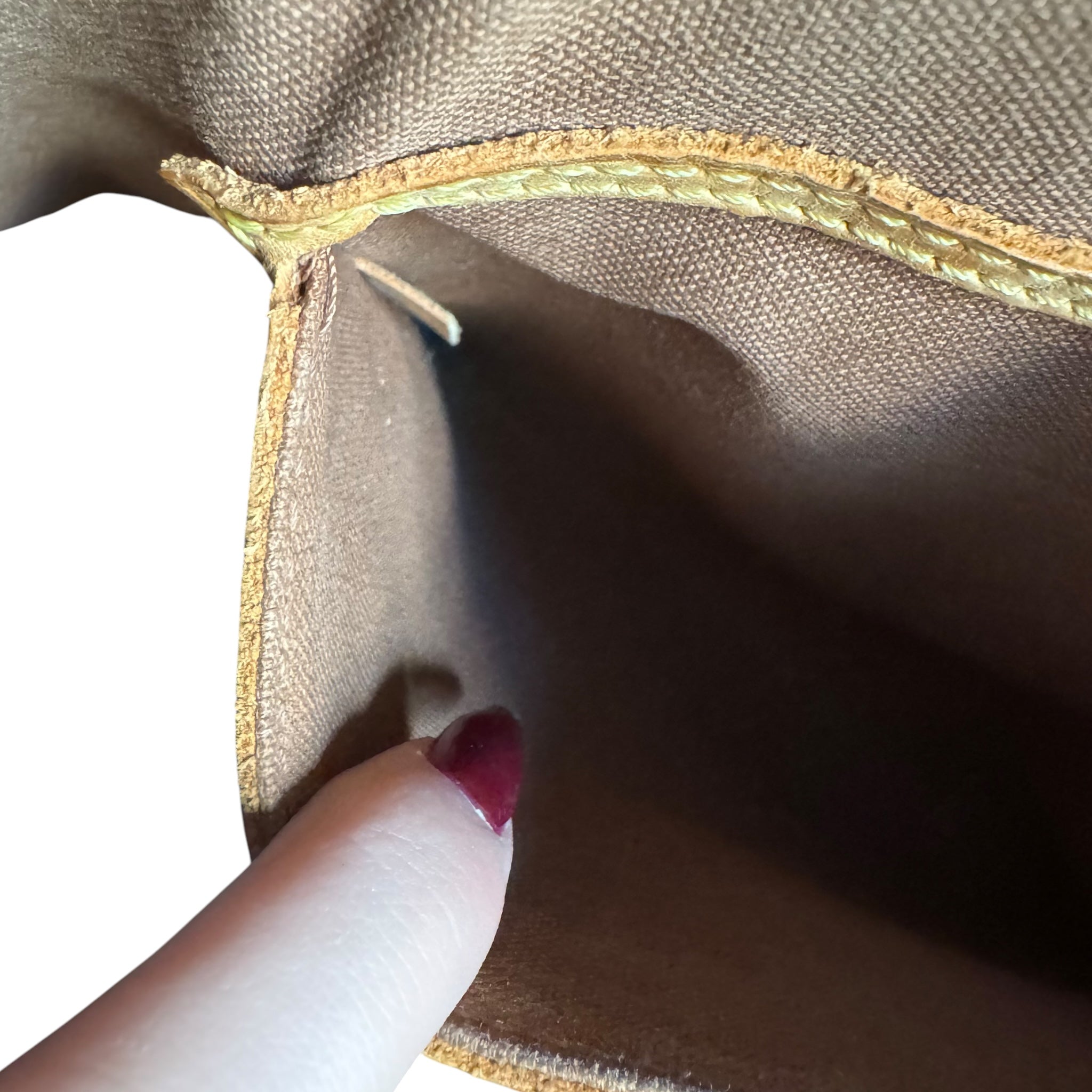 Alma Bag Louis Vuitton