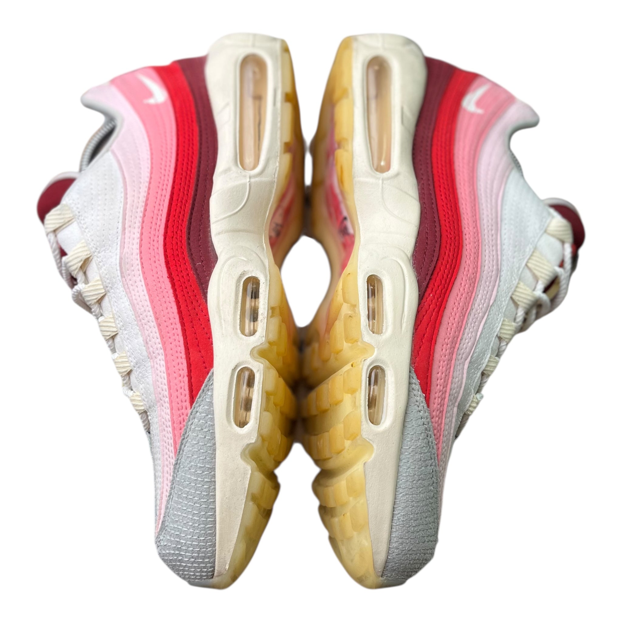 Nike Air Max 95 Anatomy Of Air (45EU)