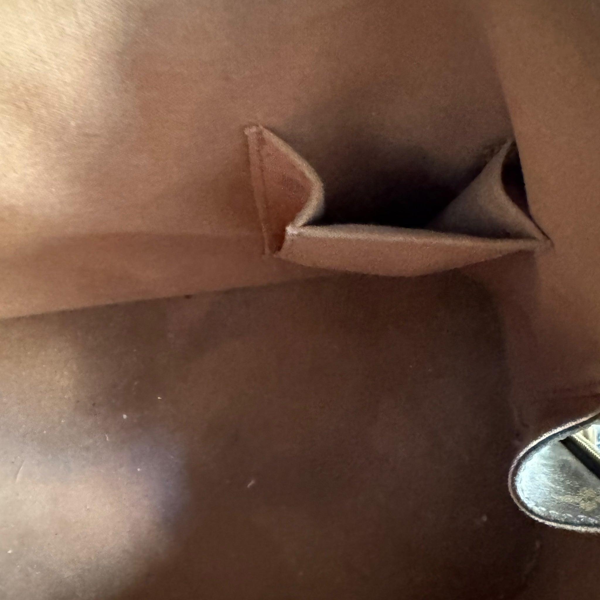 Alma Bag Louis Vuitton