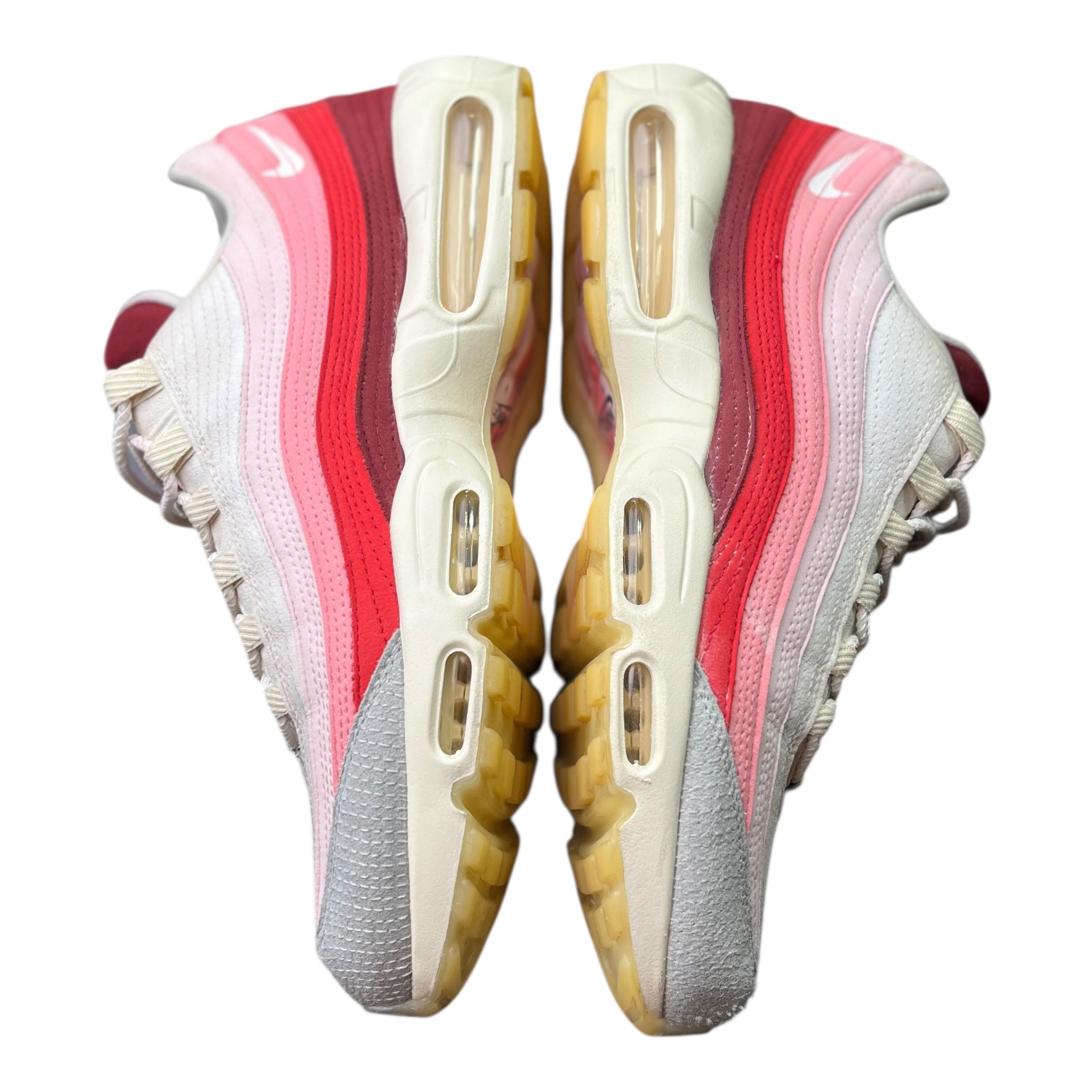 Nike Air Max 95 Anatomy Of Air (47.5EU)