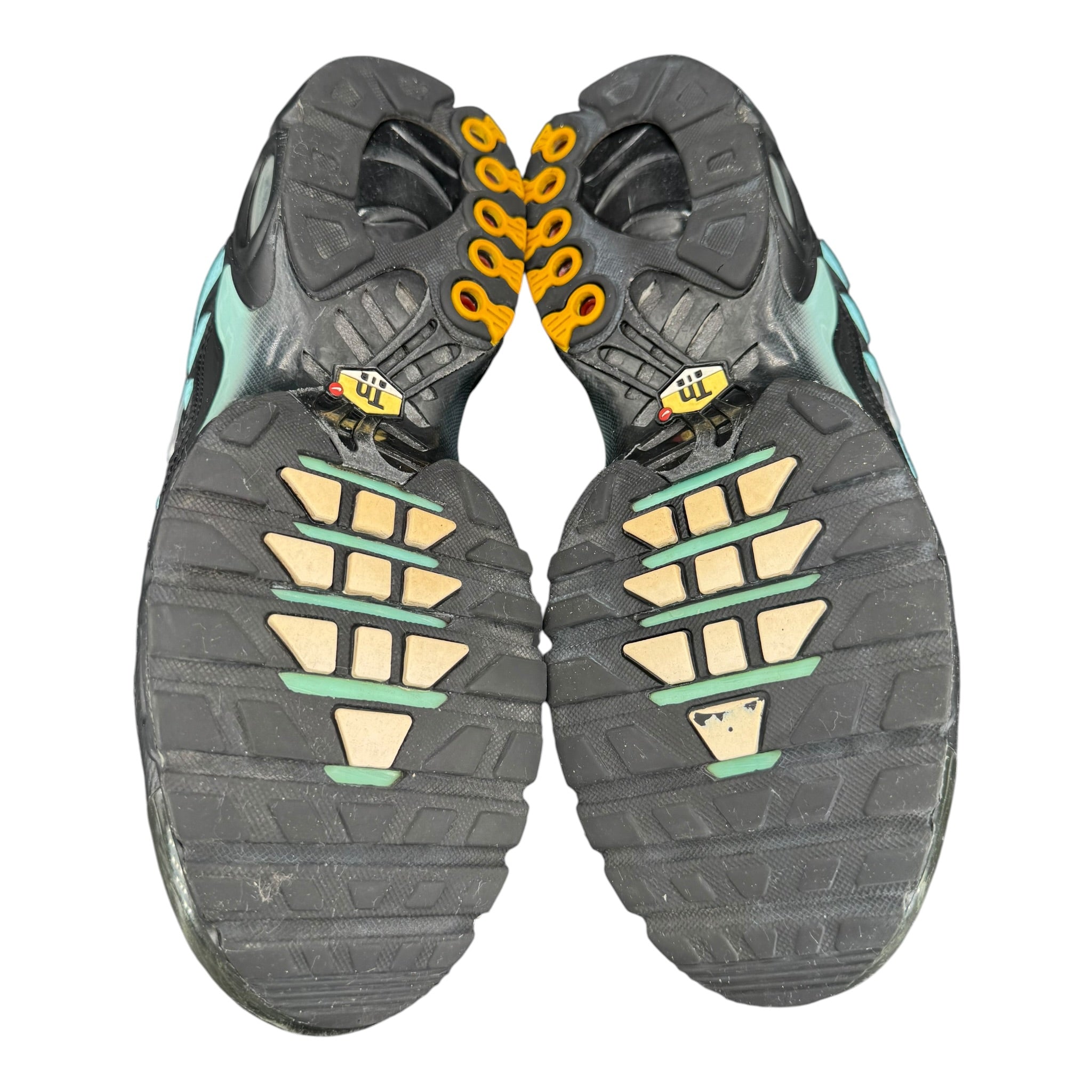 Air Max TN (44EU)