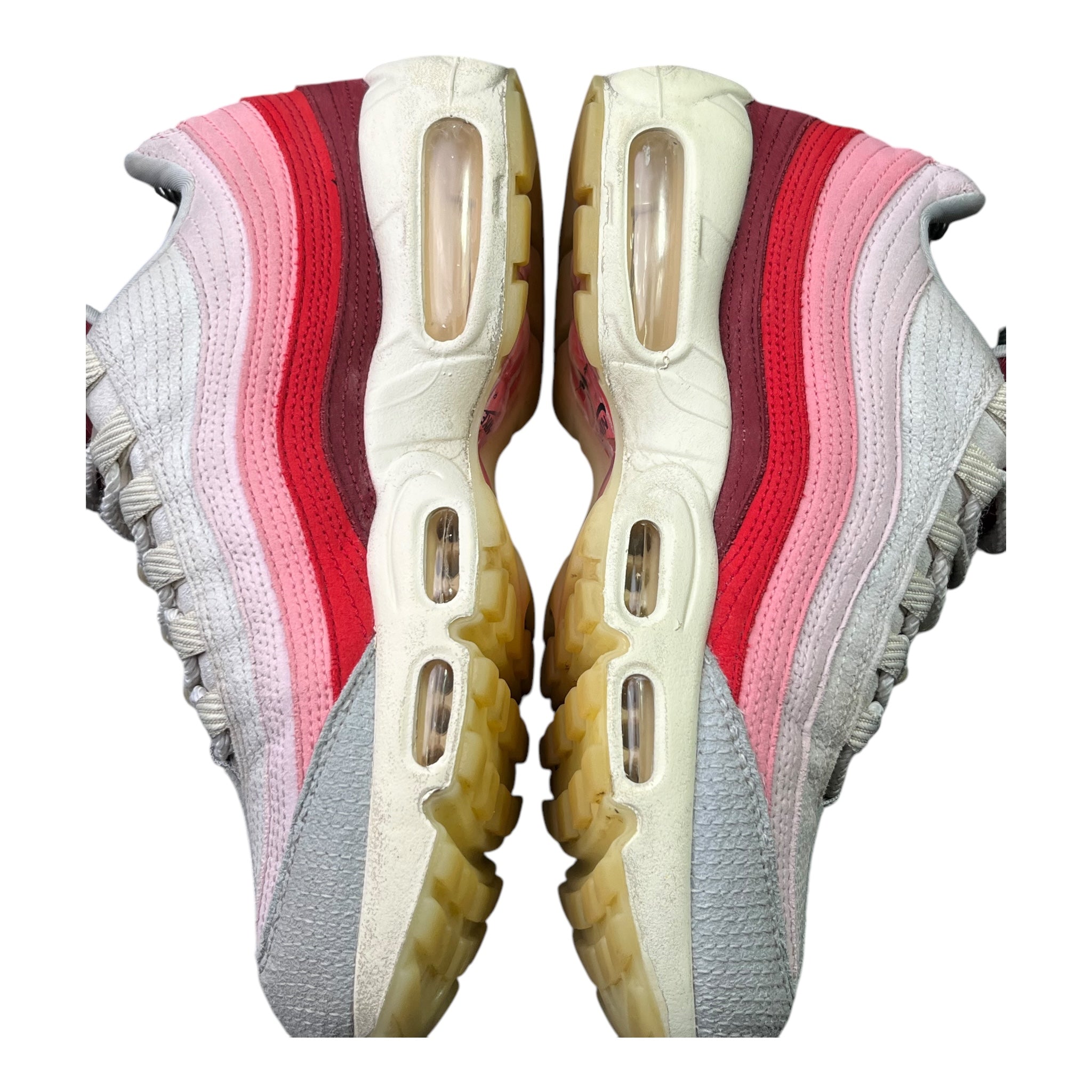 Nike Air Max 95 Anatomy Of Air (40EU)