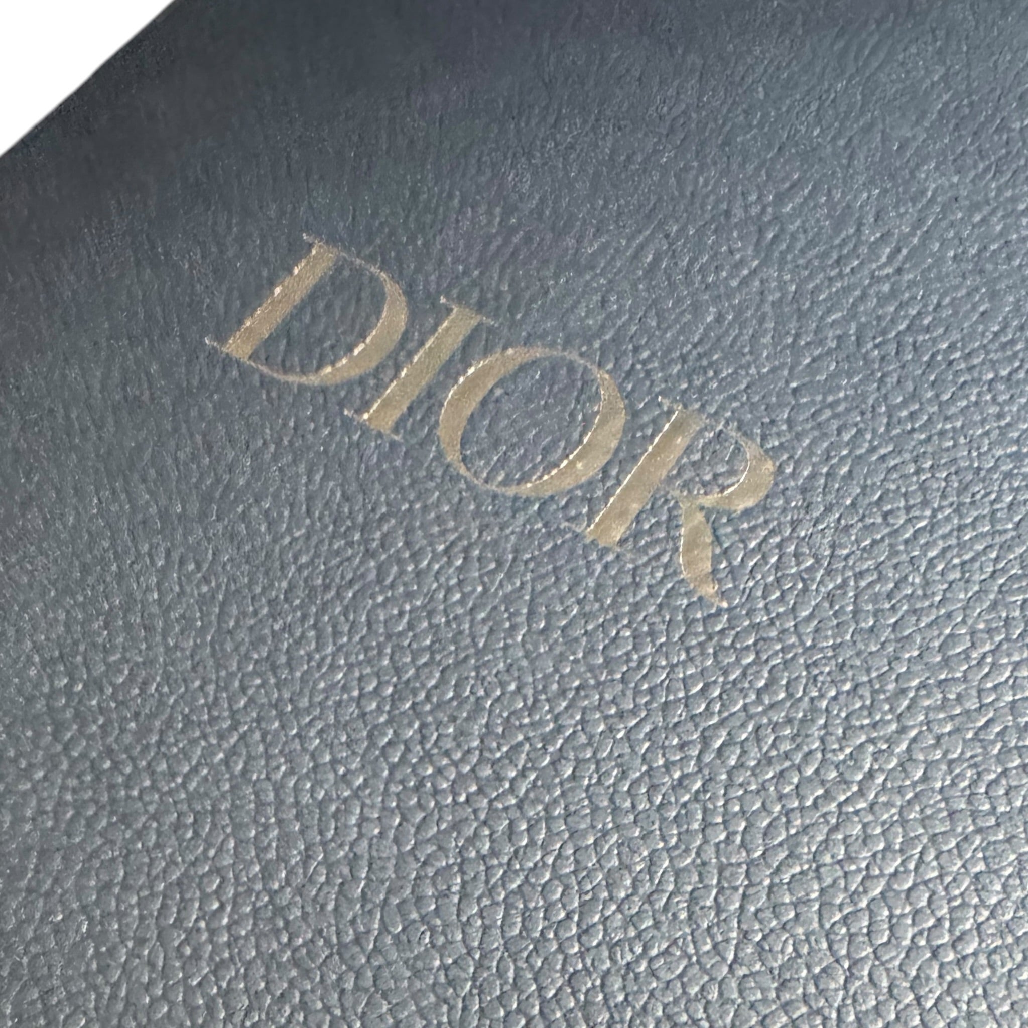 Dior B27 (43EU)