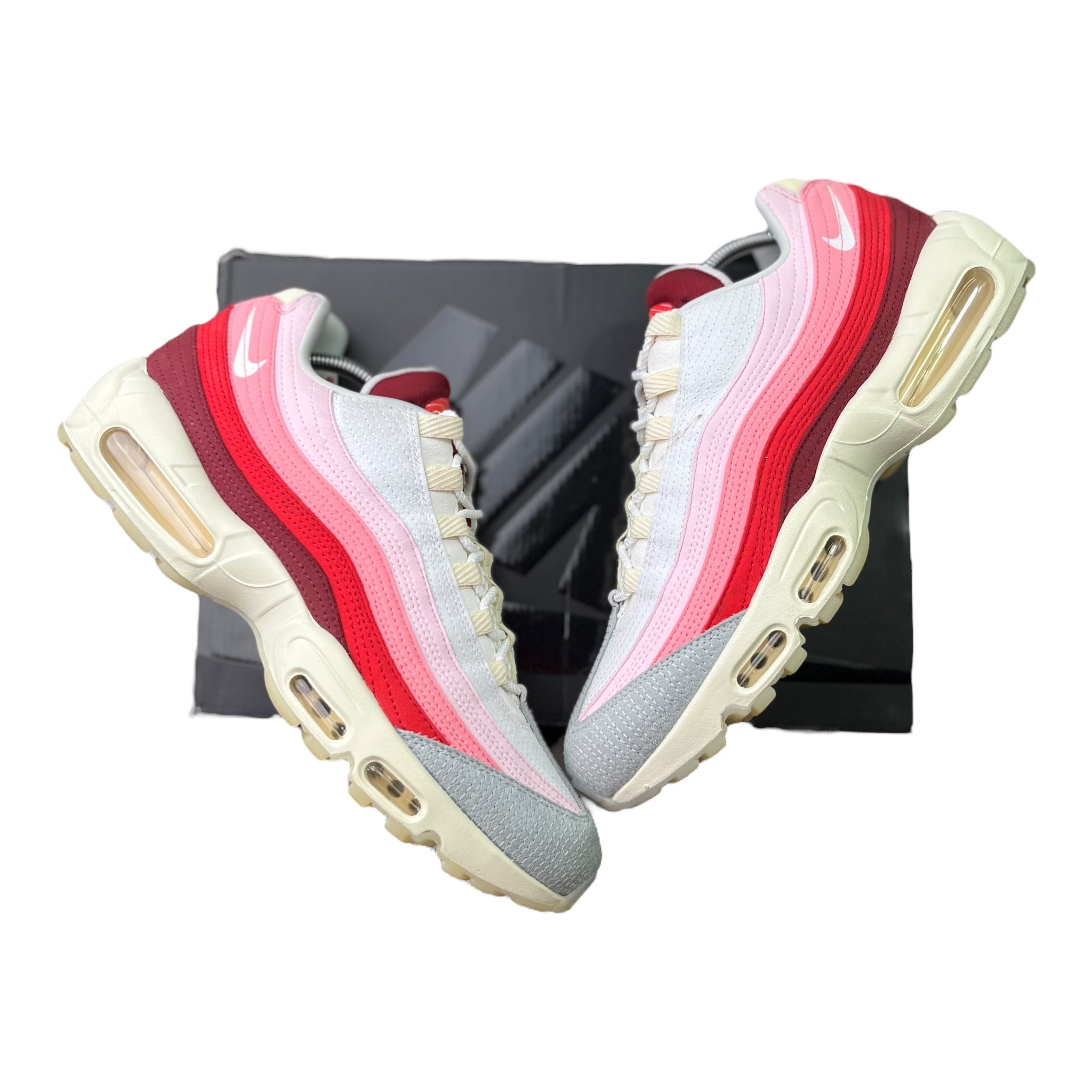 Nike Air Max 95 Anatomy Of Air (46EU)