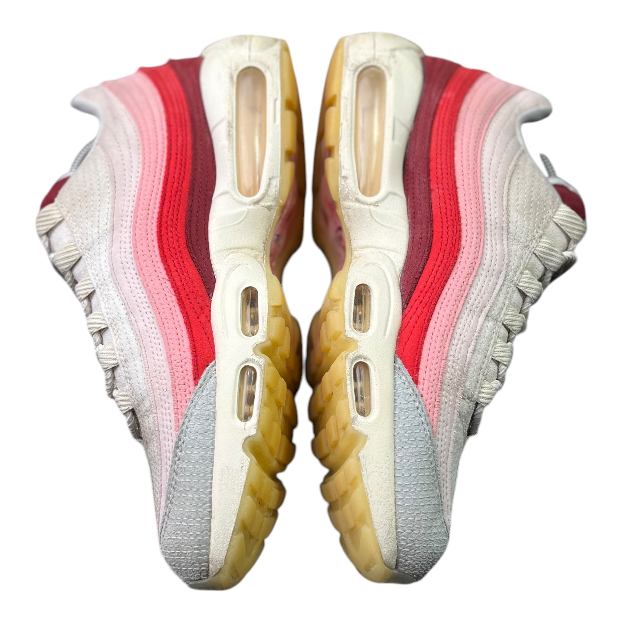 Nike Air Max 95 Anatomy Of Air (41EU)