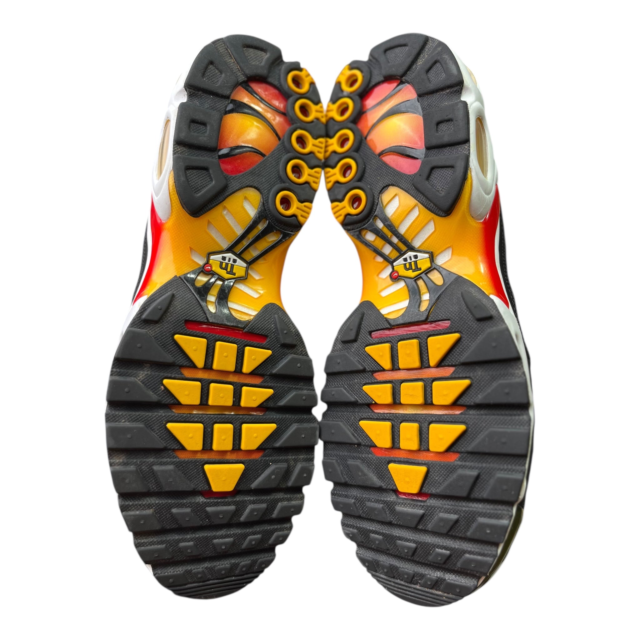 Nike Air Max Plus Tn Yellow Pink Gradient (45EU)