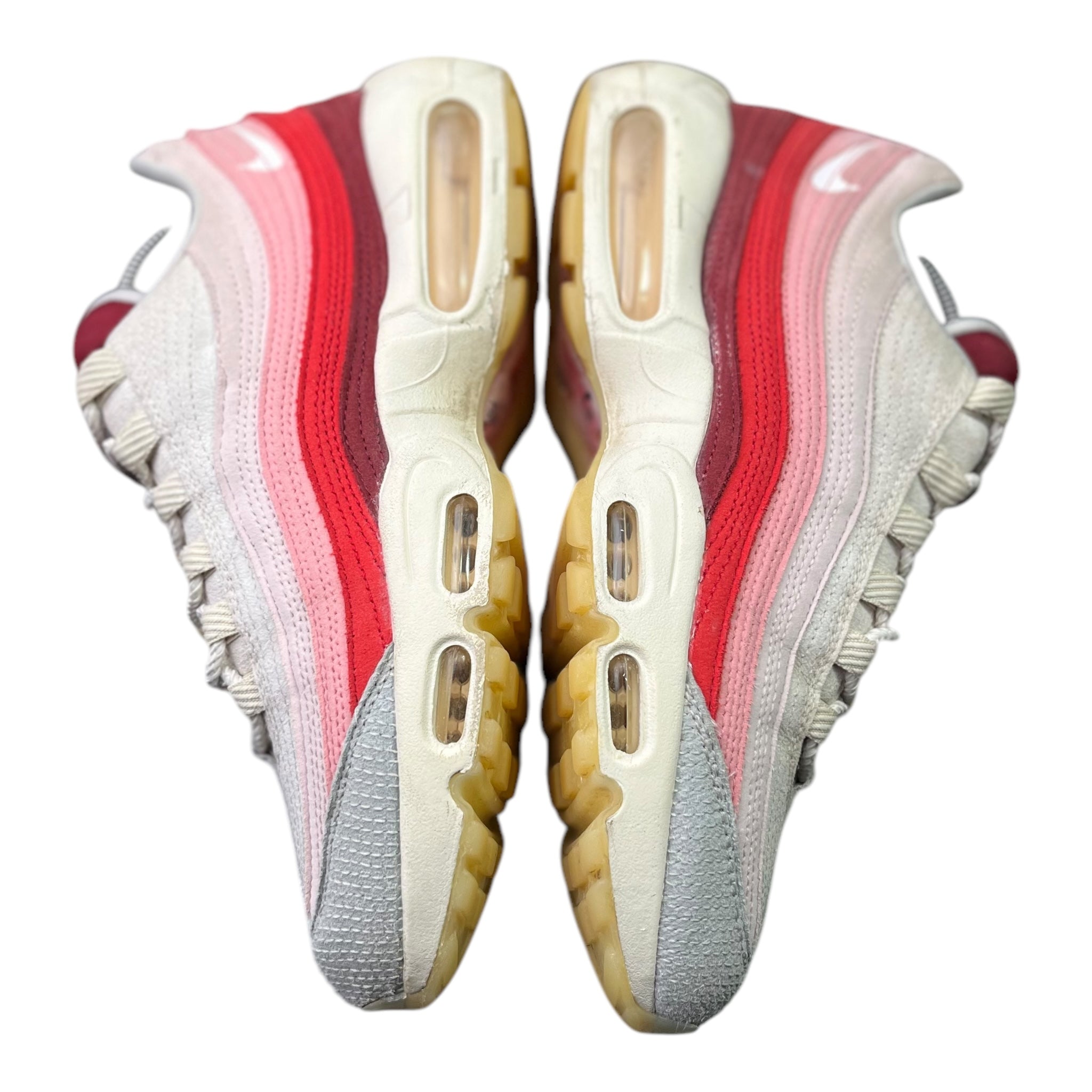 Nike Air Max 95 Anatomy Of Air (41EU)