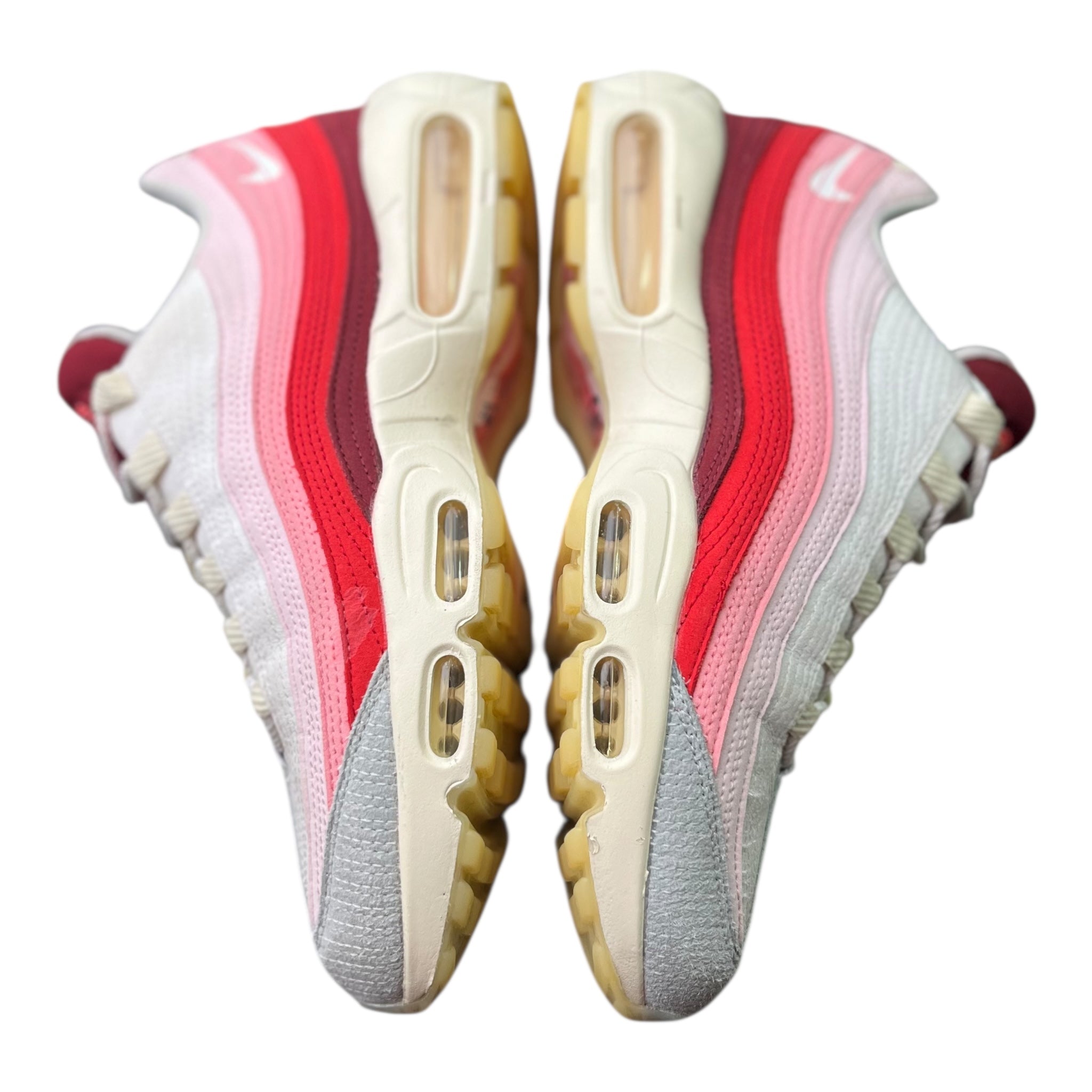 Nike Air Max 95 Anatomy Of Air (42.5EU)