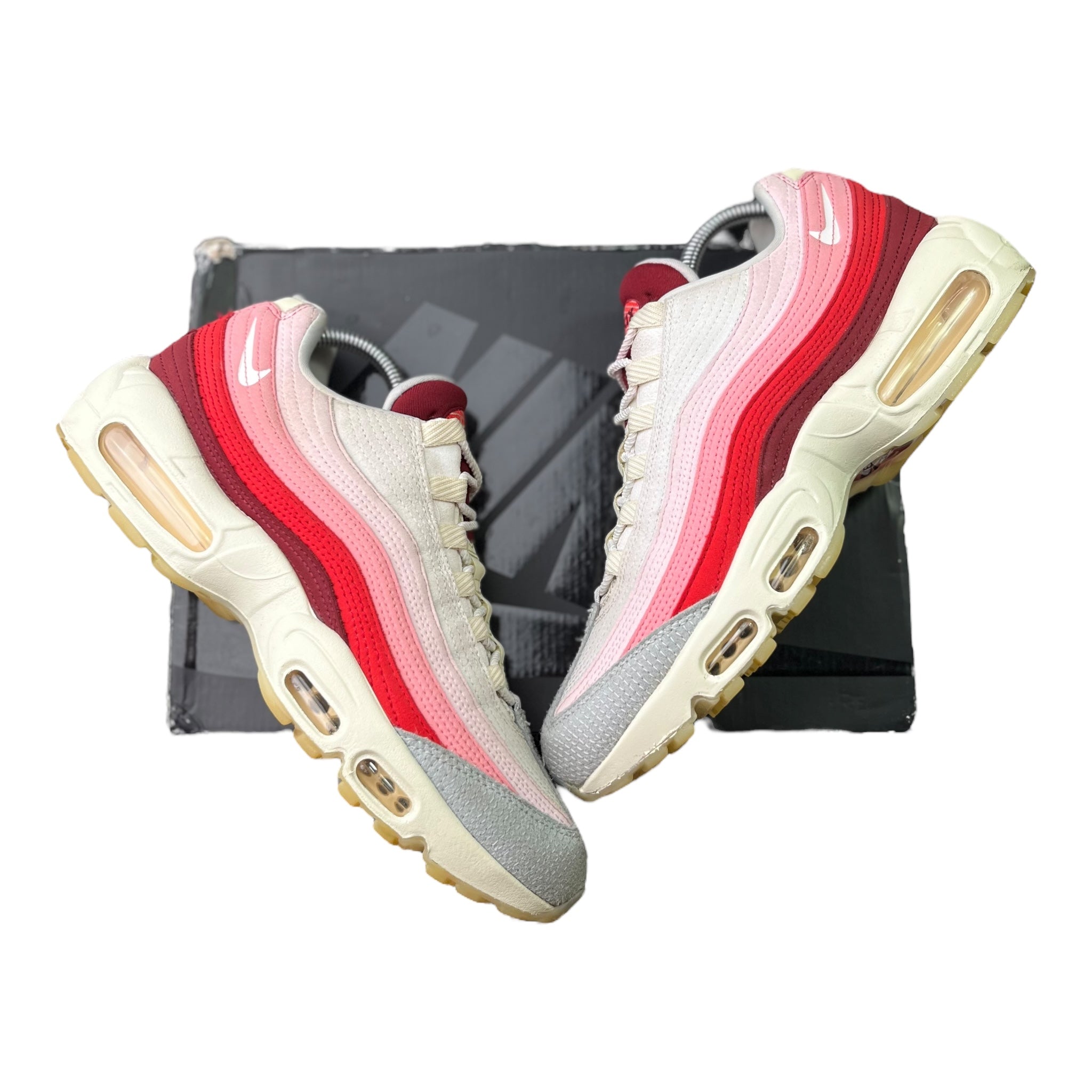 Nike Air Max 95 Anatomy Of Air (43EU)