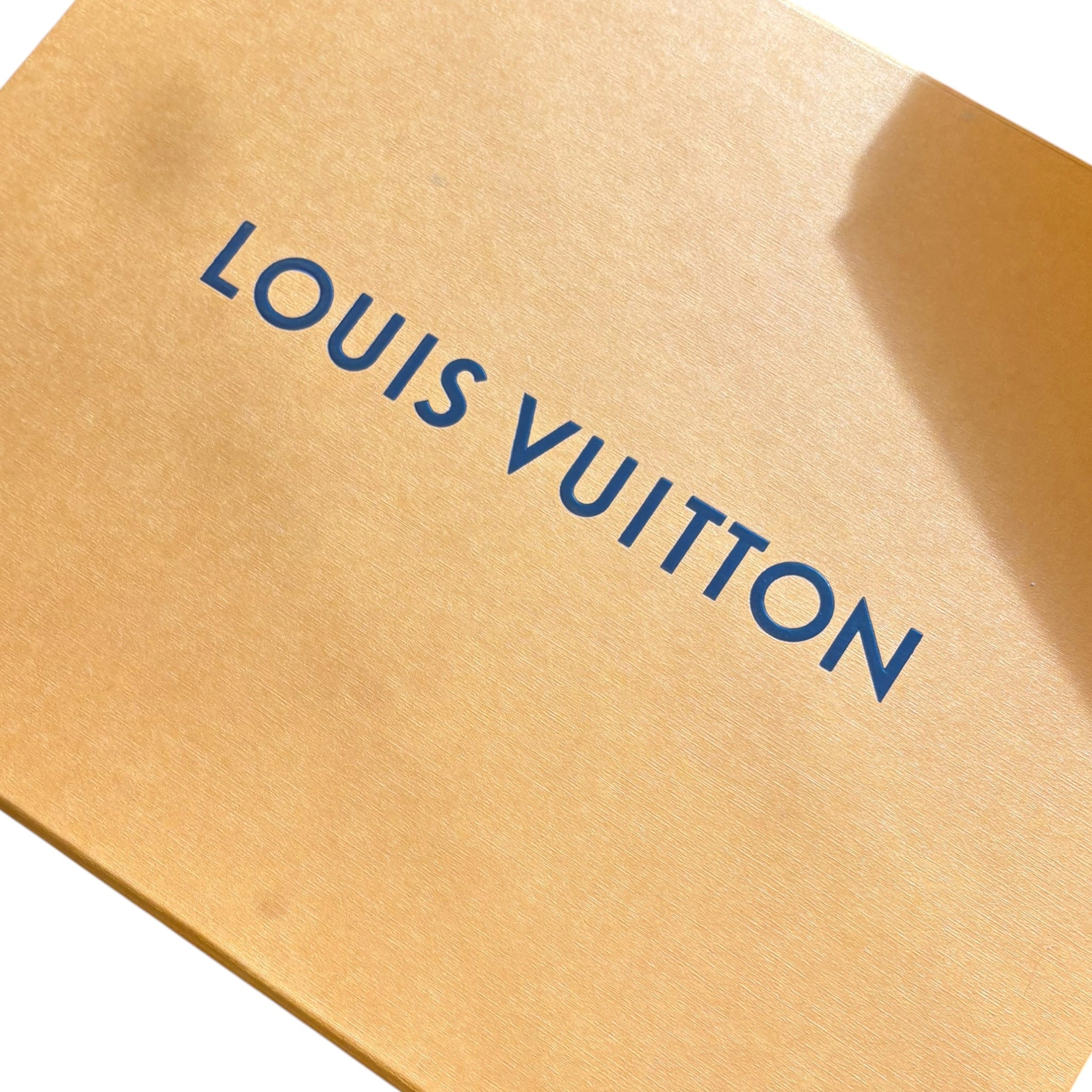 Louis Vuitton Skate (45EU)