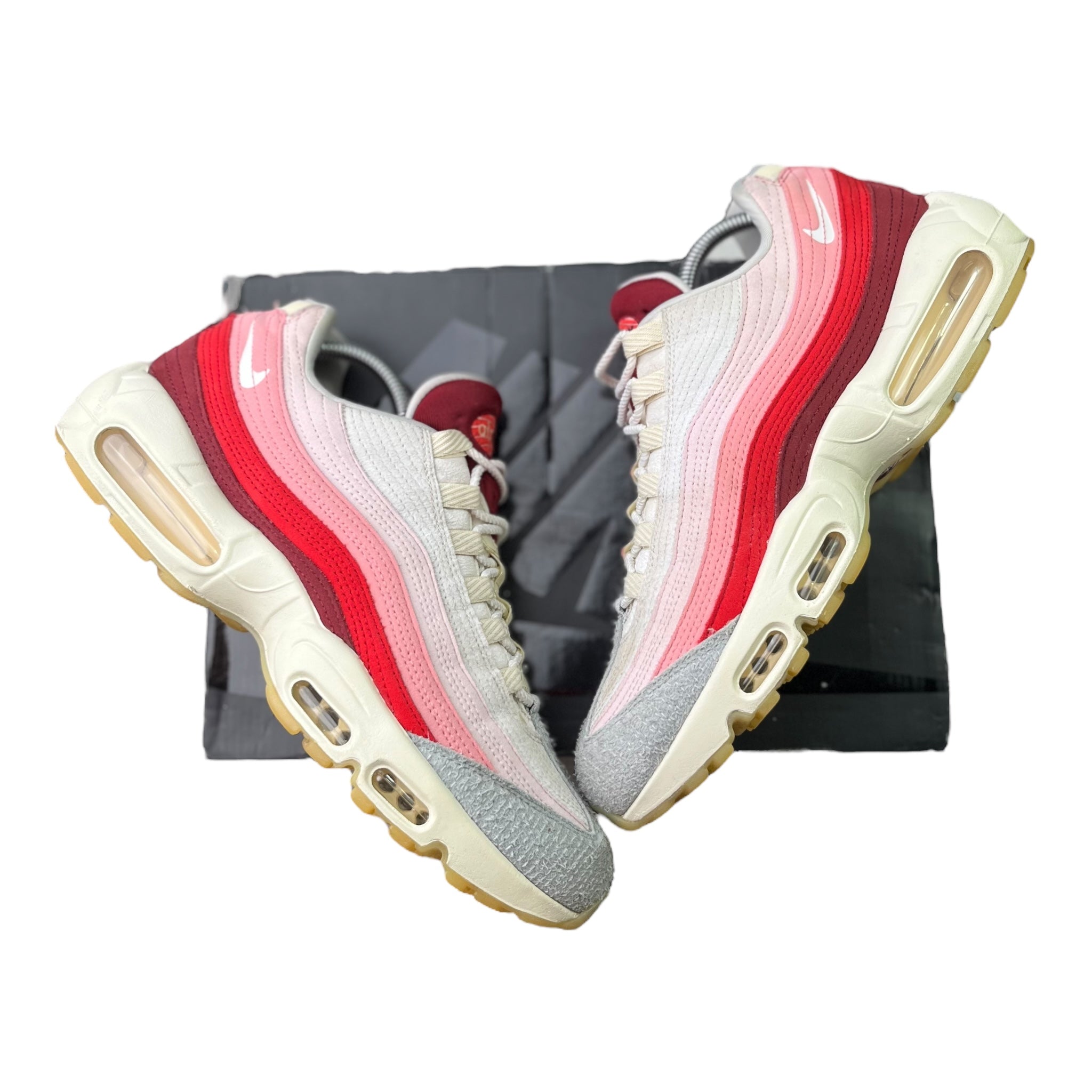Nike Air Max 95 Anatomy Of Air (44.5EU)