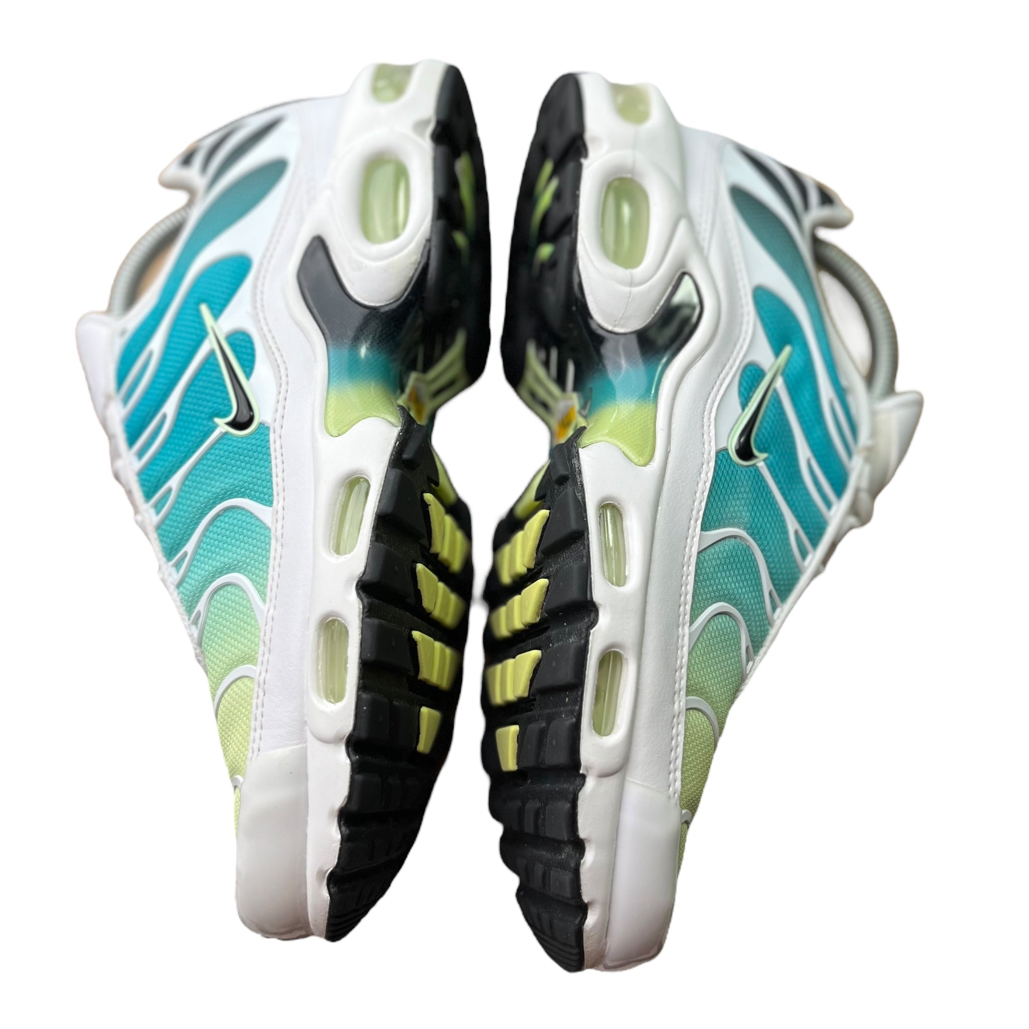 Nike Air Max Plus Tn Dusty Cactus (41EU)
