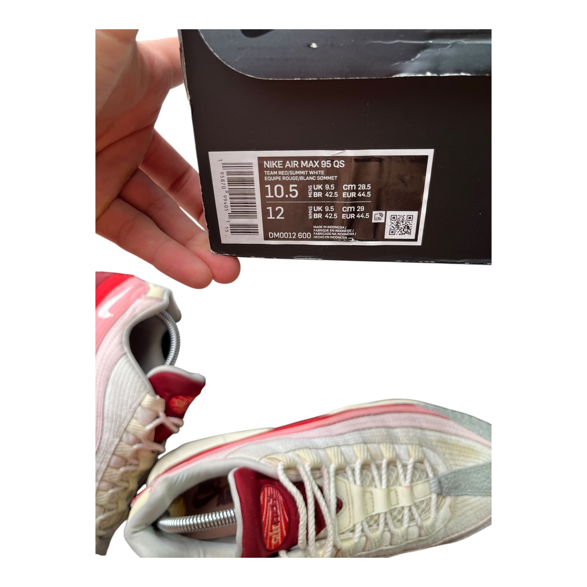 Nike Air Max 95 Anatomy Of Air (44.5EU)