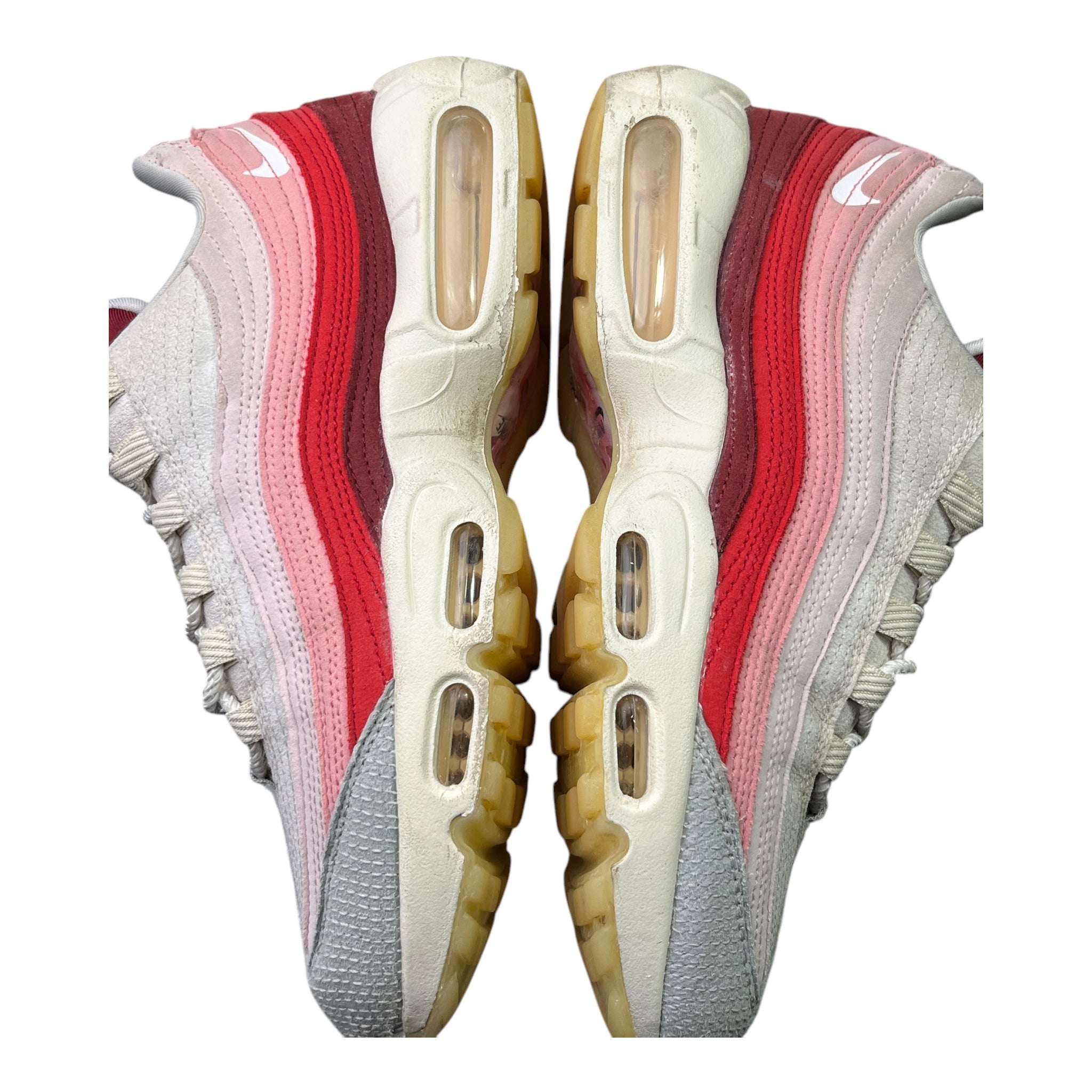 Nike Air Max 95 Anatomy Of Air (41EU)