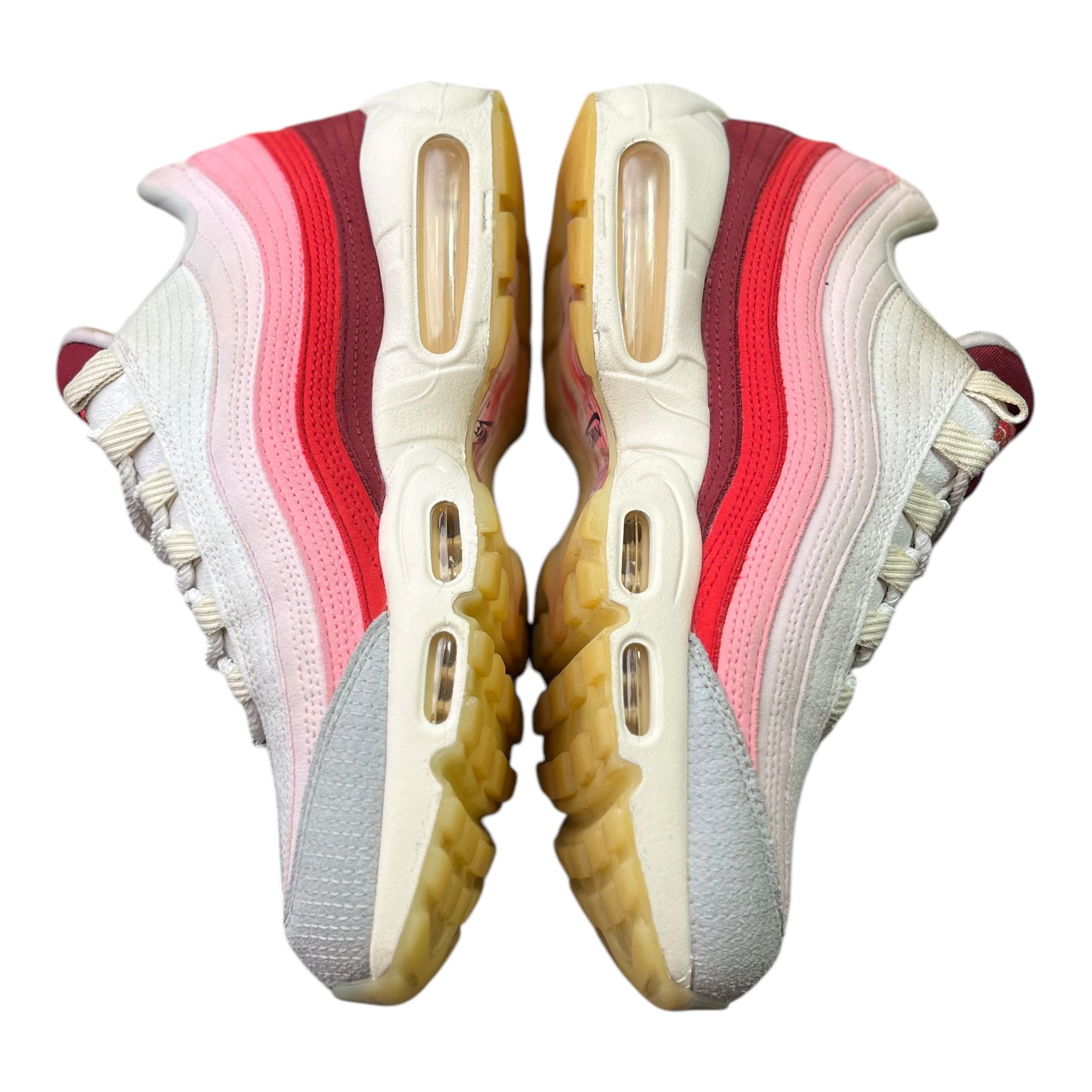 Nike Air Max 95 Anatomy Of Air (42EU)
