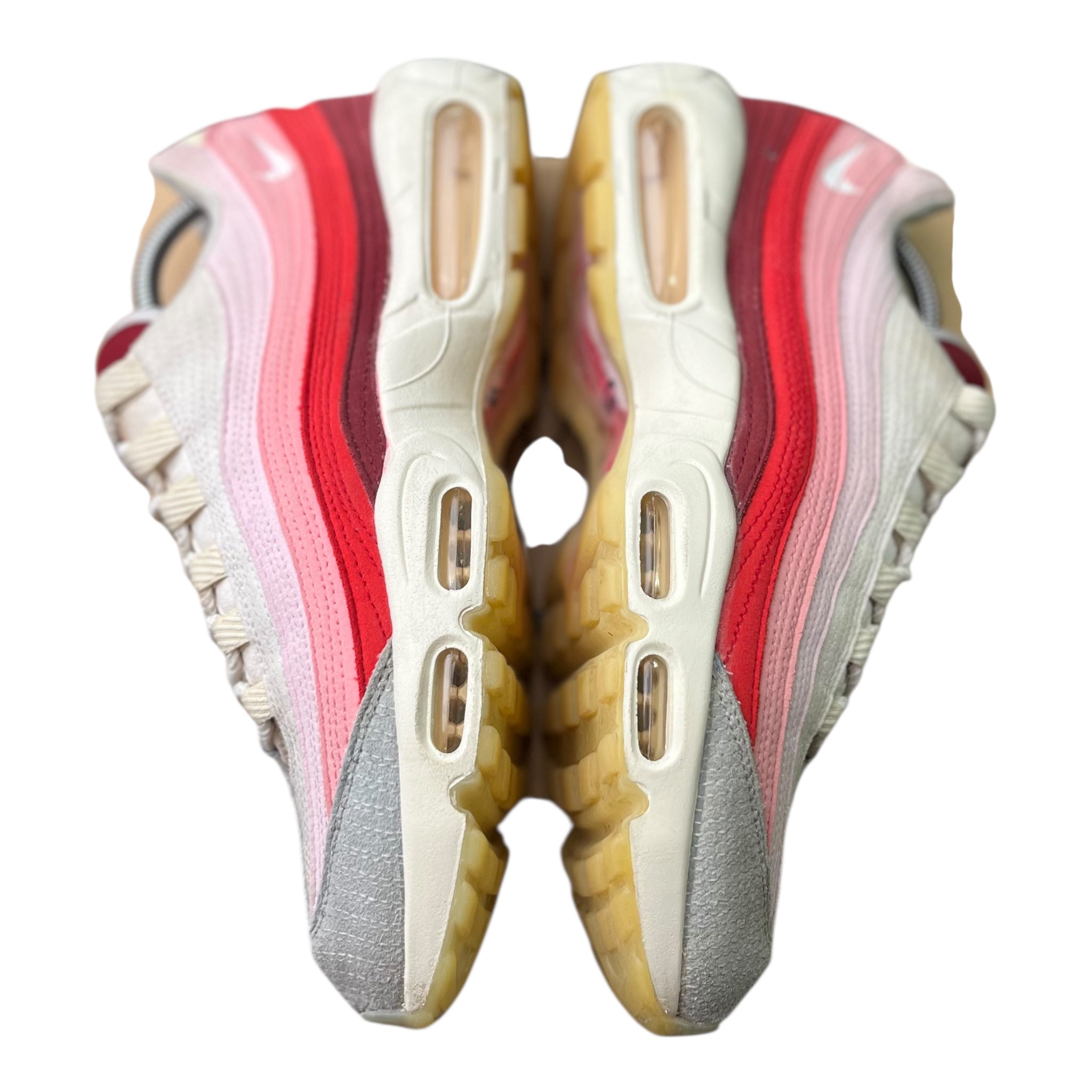 Nike Air Max 95 Anatomy Of Air (44EU)