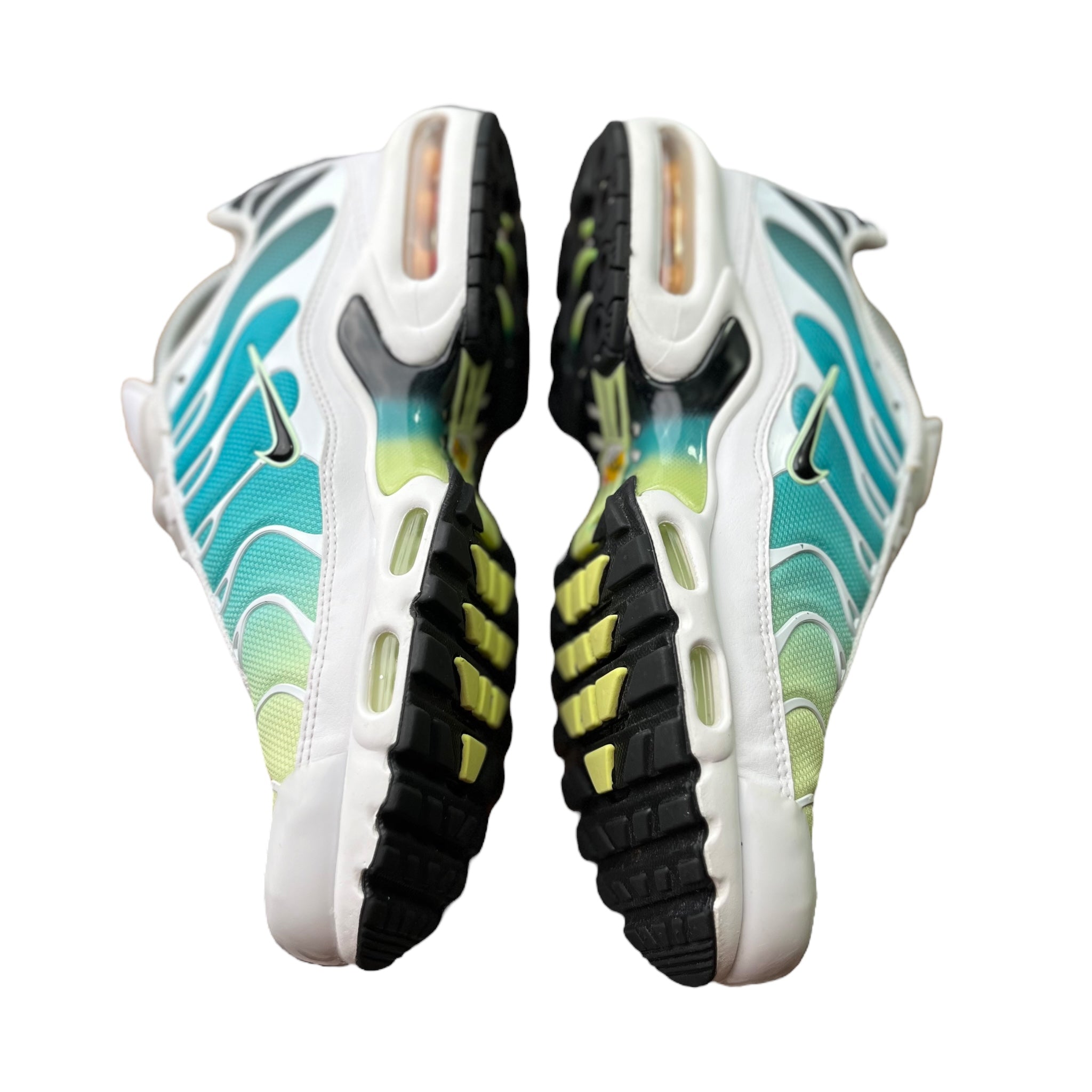 Nike Air Max Plus Tn Dusty Cactus (41EU)