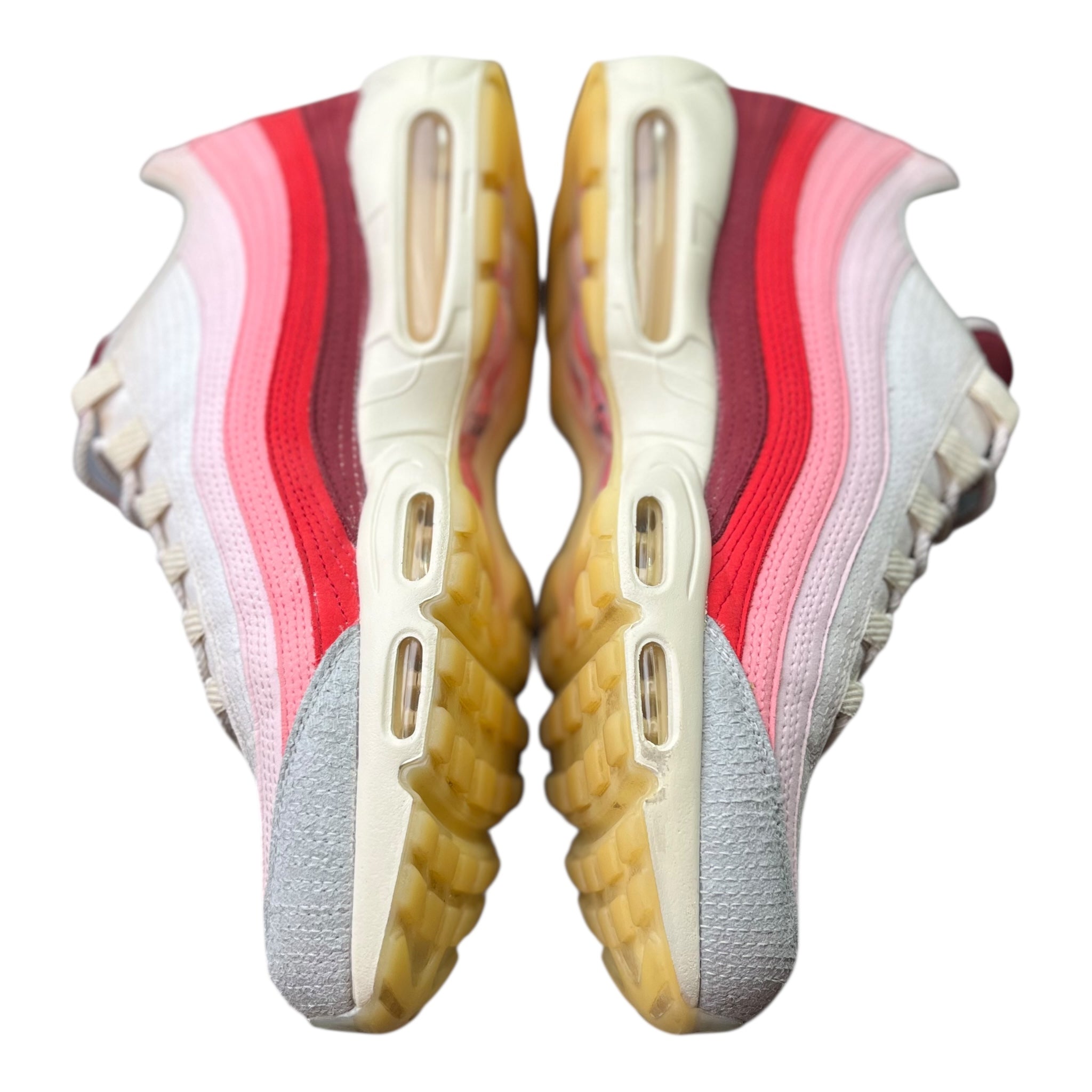 Nike Air Max 95 Anatomy Of Air (47.5EU)