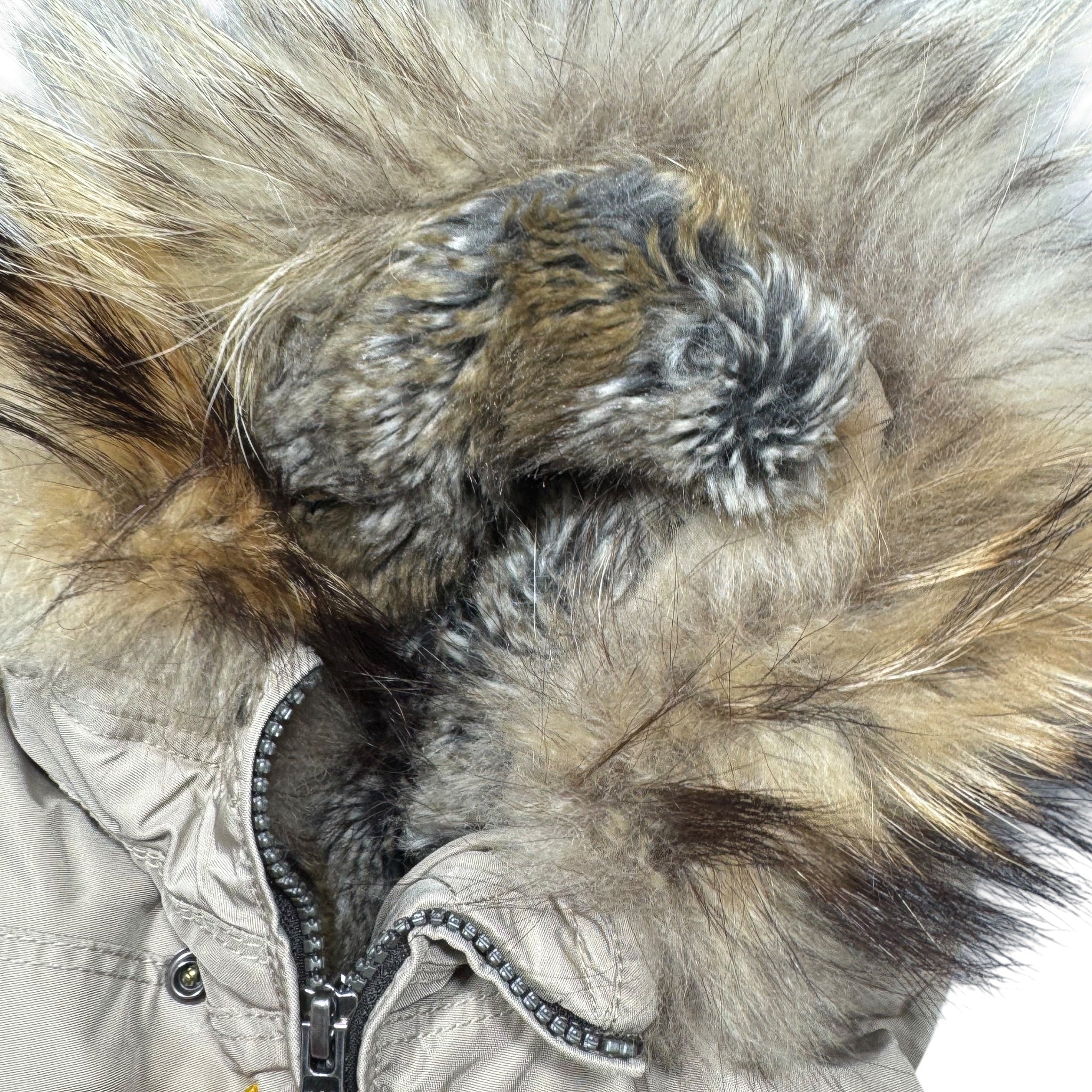 Doudoune Parajumpers Masterpiece (Young-Large)