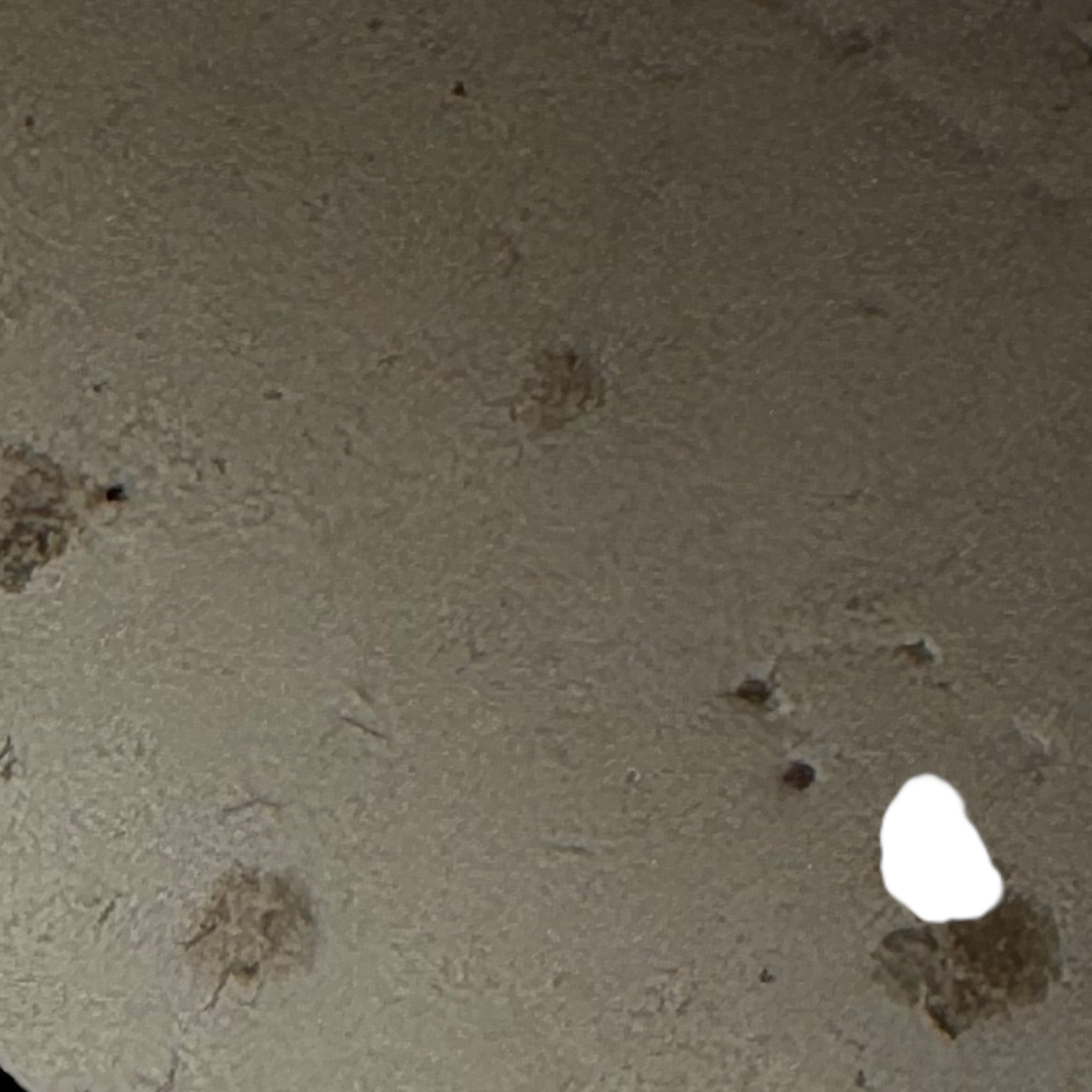 Golden Goose SuperStar (41EU)