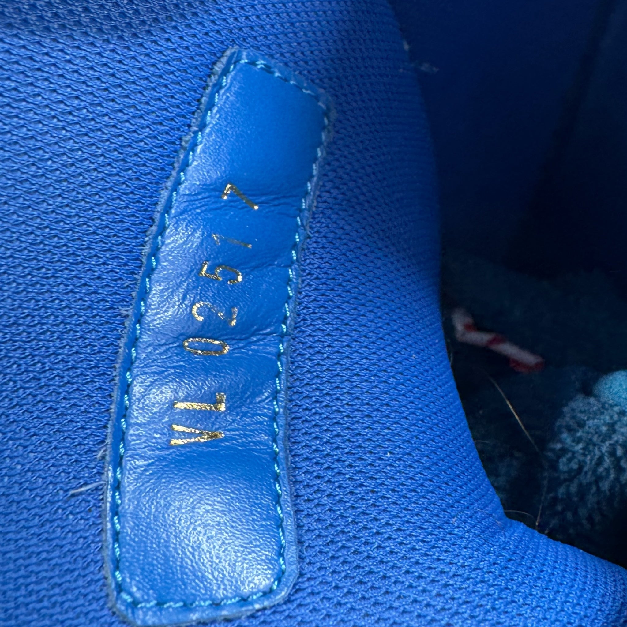 Louis Vuitton Trainer (7)