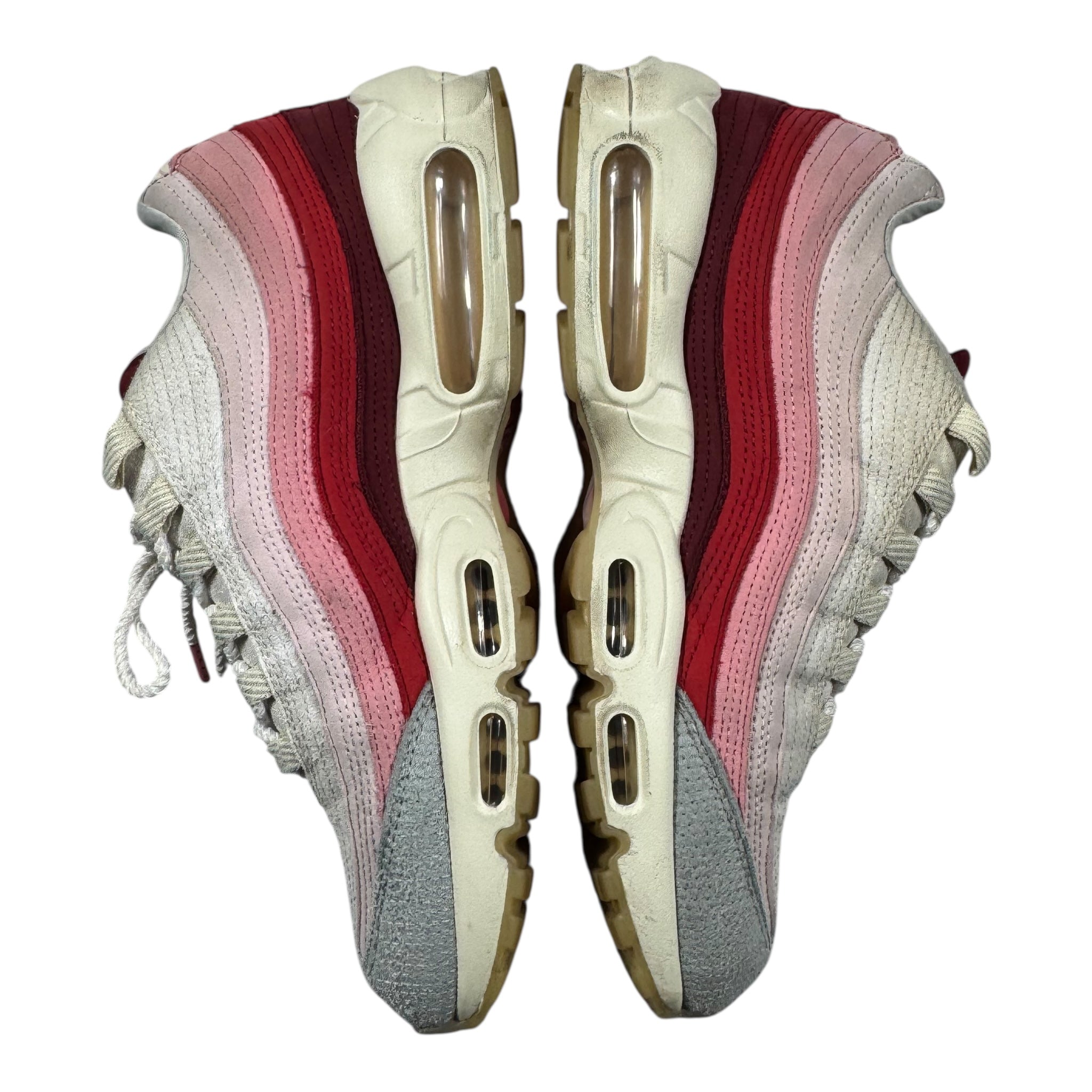 AIR Max 95 anatomy of air (44.5EU)