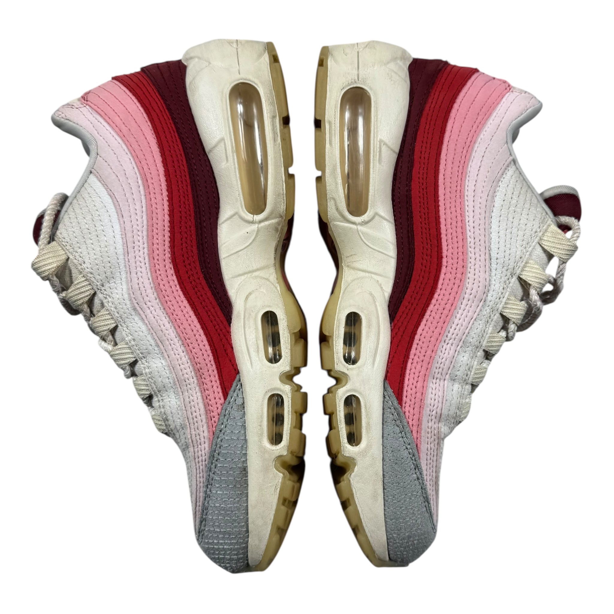 Air Max 95 anatomy of air (40EU)
