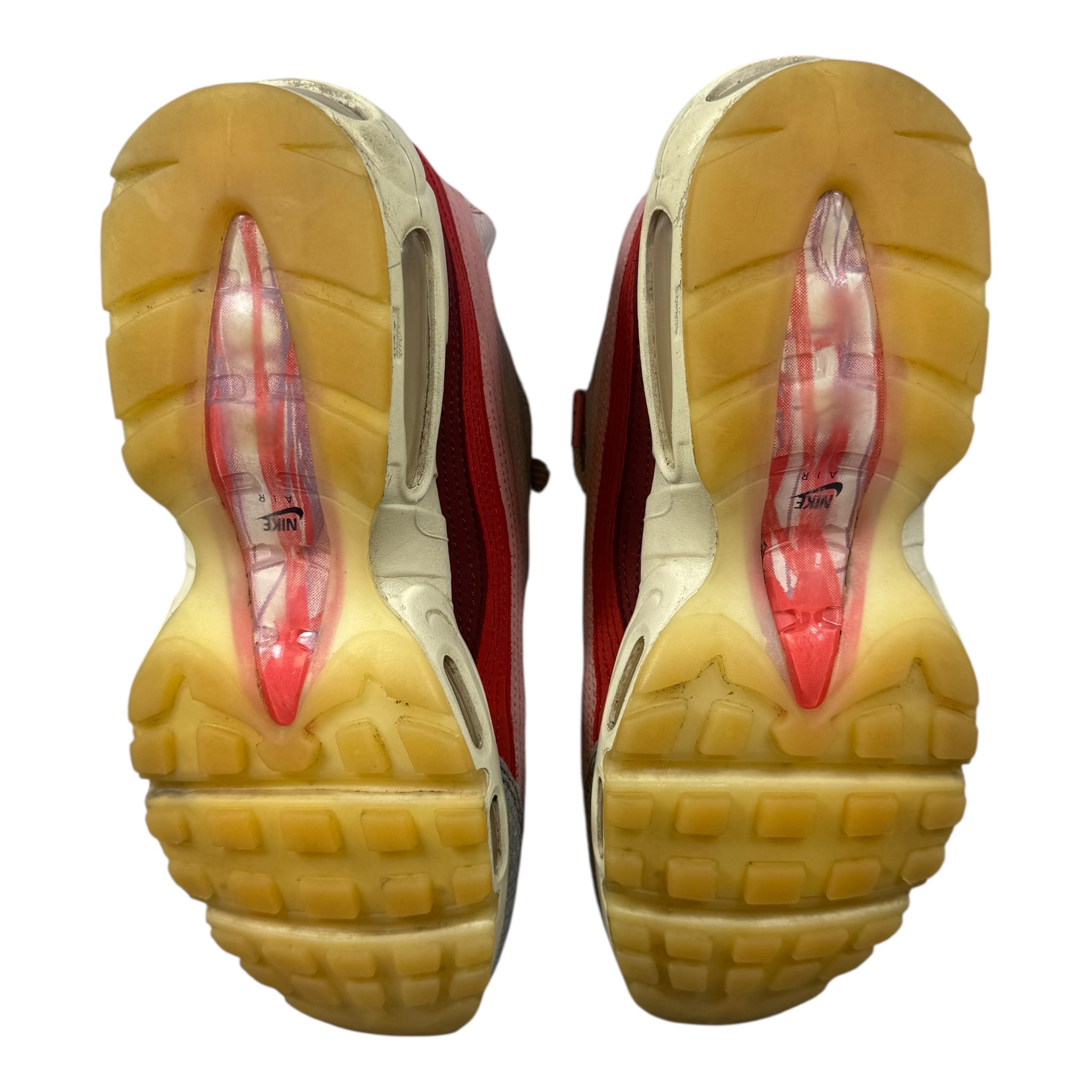 Air Max 95 Anatomy (41.5EU)