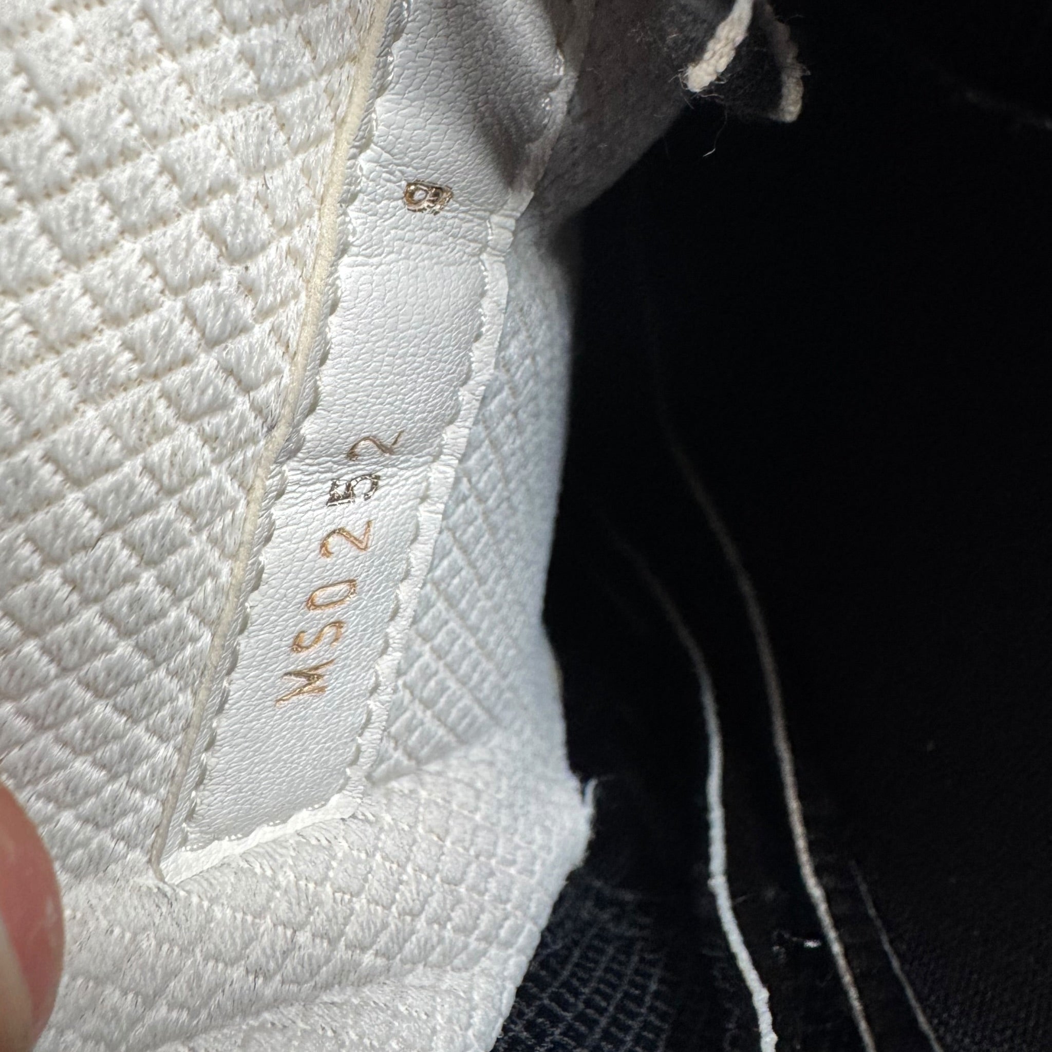 Louis Vuitton Tactic Runner (44)