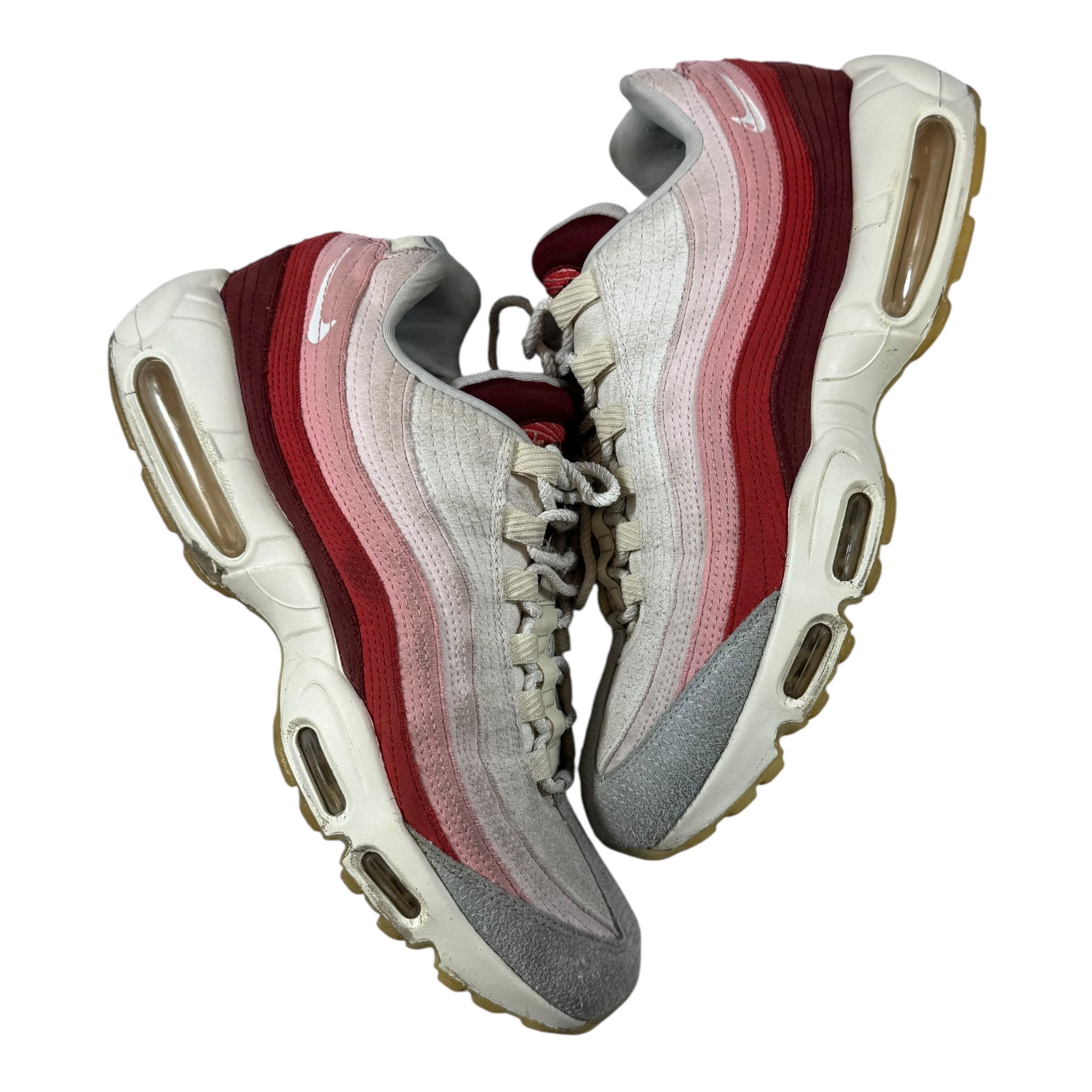 Air max 95 Anatomy (45)