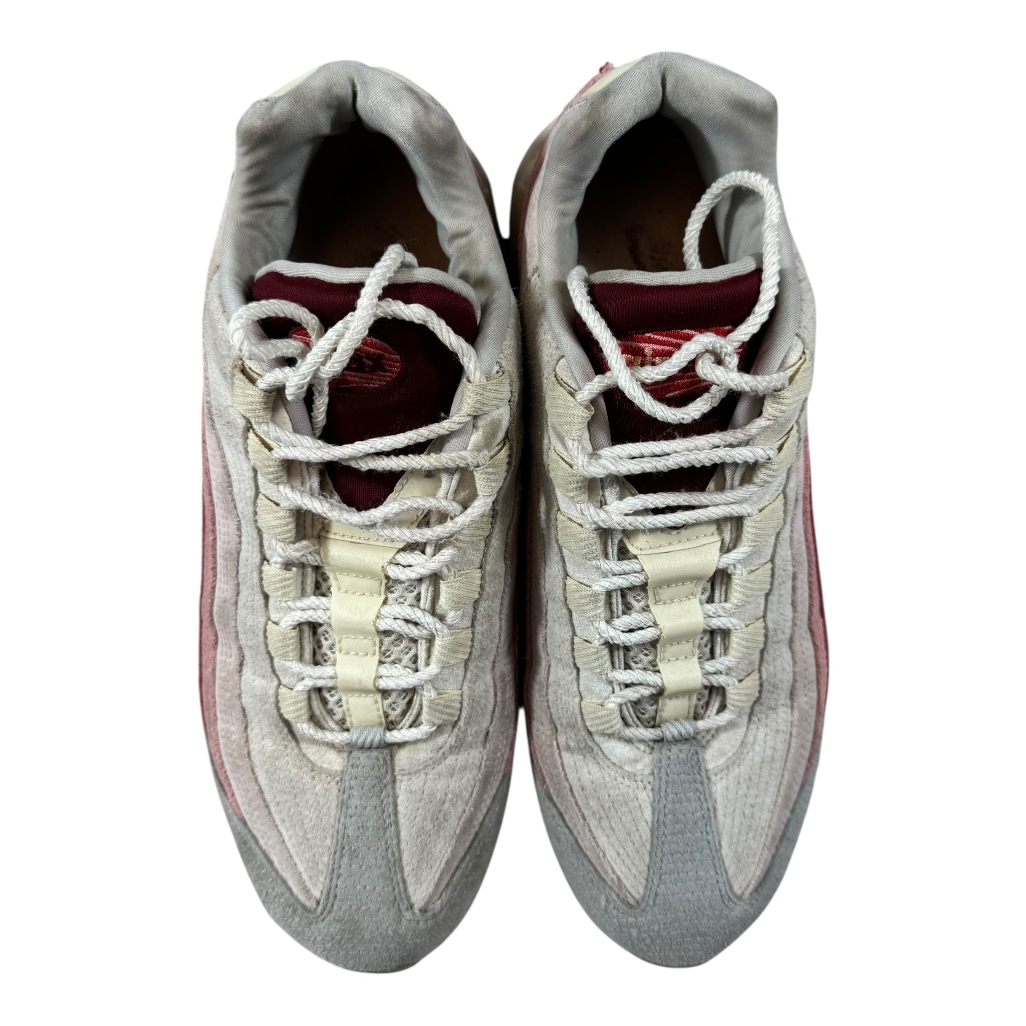 Air max 95 Anatomy (45)